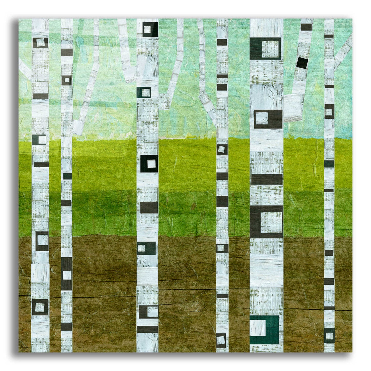 Epic Art 'Summer Birches' by Michelle Calkins, Acrylic Glass Wall Art,12x12