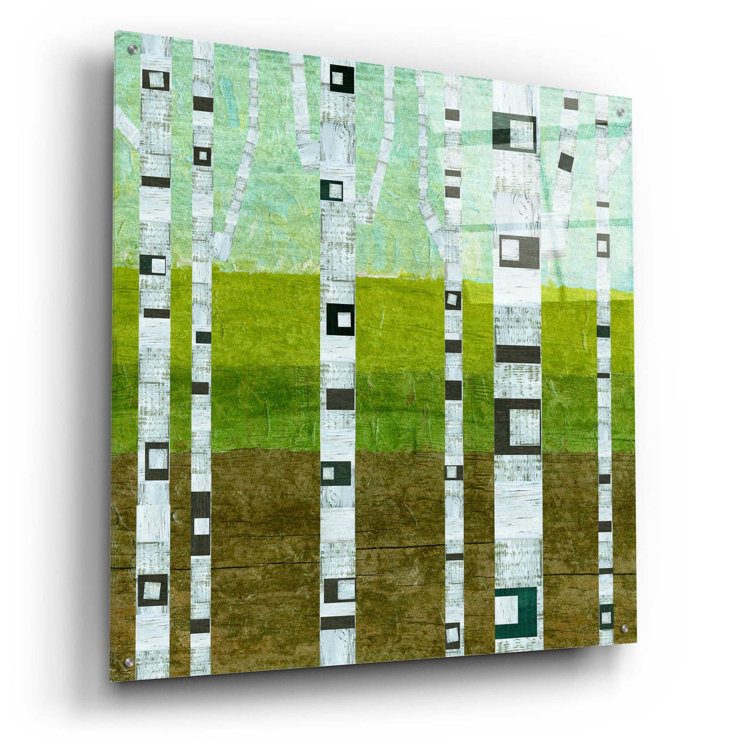 Epic Art 'Summer Birches' by Michelle Calkins, Acrylic Glass Wall Art,36x36