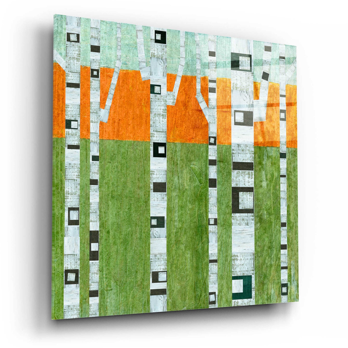 Epic Art 'Spring Birches' by Michelle Calkins, Acrylic Glass Wall Art,12x12