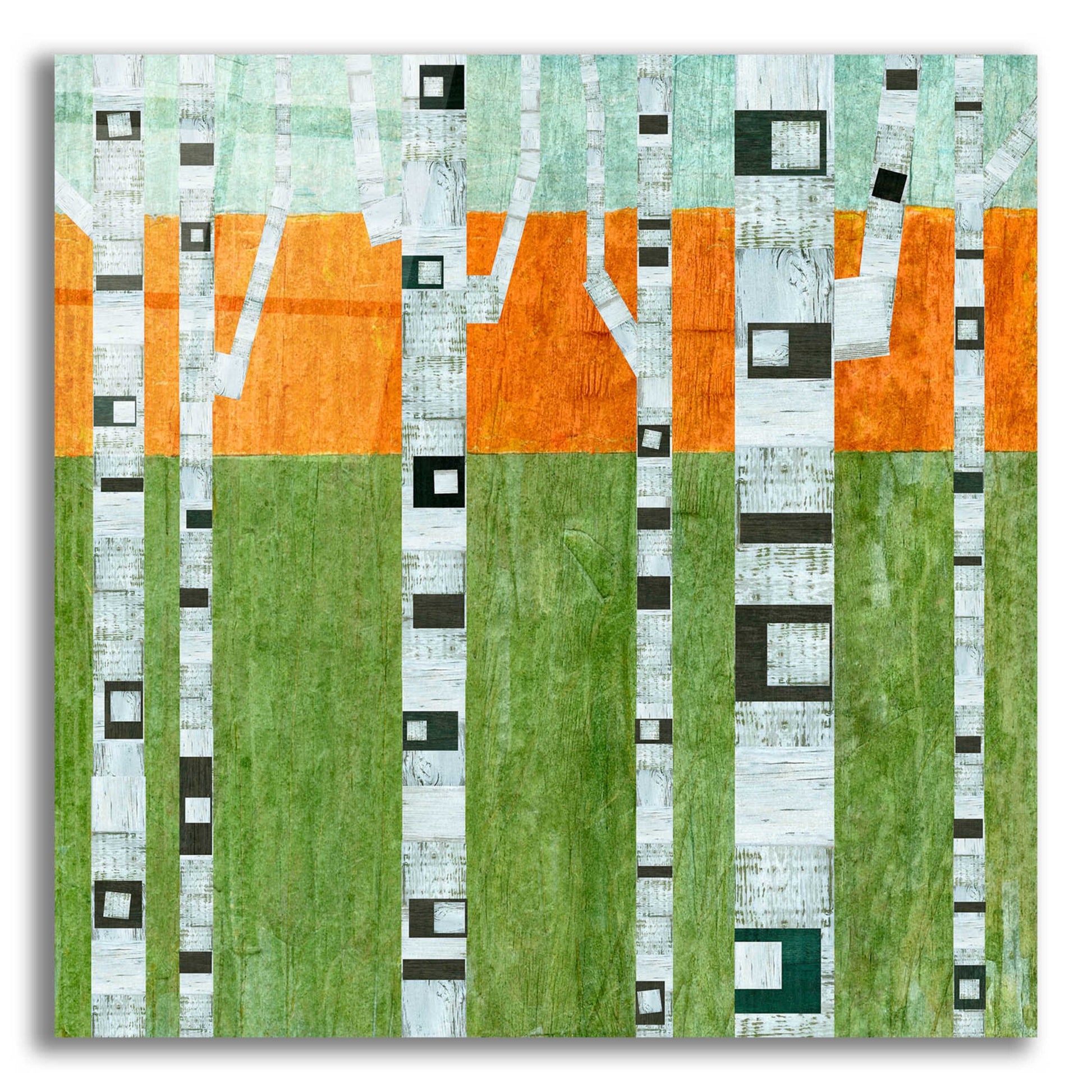 Epic Art 'Spring Birches' by Michelle Calkins, Acrylic Glass Wall Art,12x12