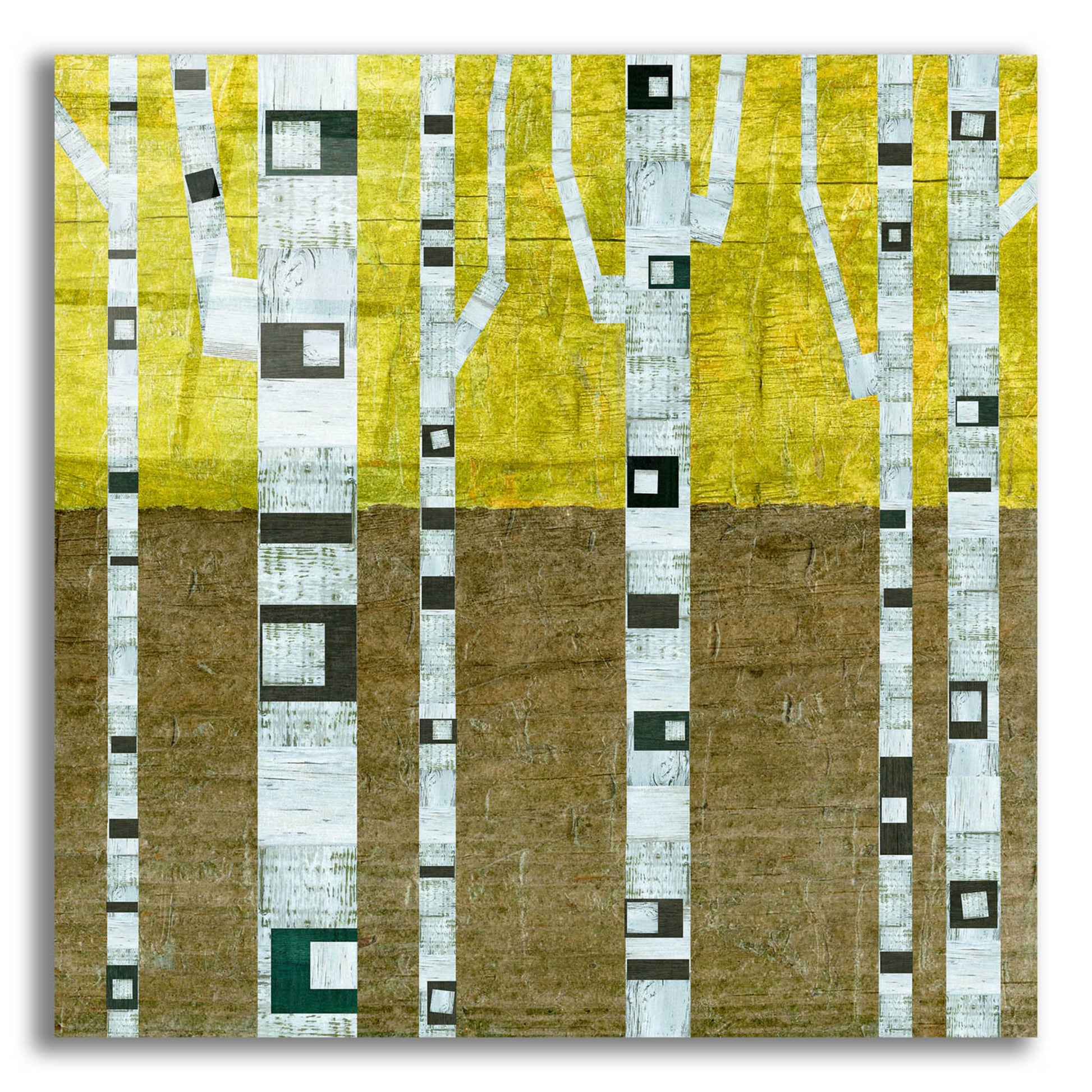 Epic Art 'Fall Birches' by Michelle Calkins, Acrylic Glass Wall Art,12x12