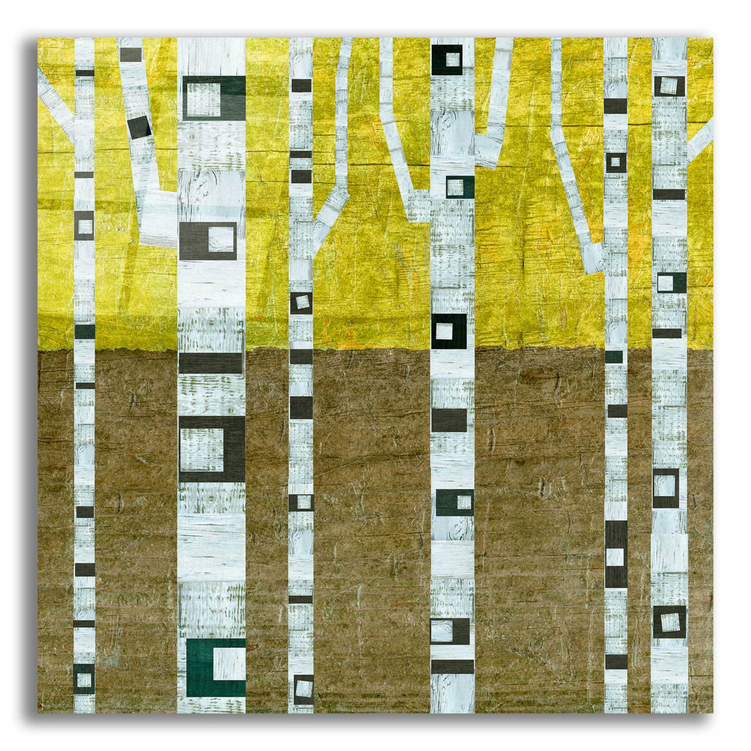 Epic Art 'Fall Birches' by Michelle Calkins, Acrylic Glass Wall Art