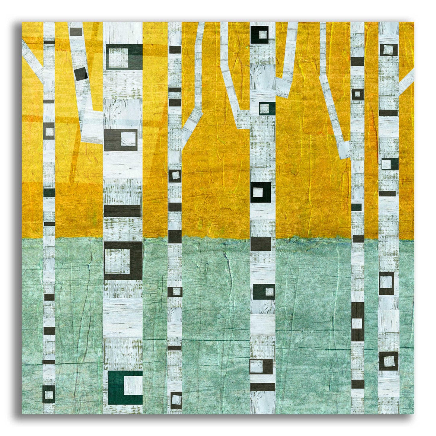 Epic Art 'Early Winter Birches' by Michelle Calkins, Acrylic Glass Wall Art,12x12