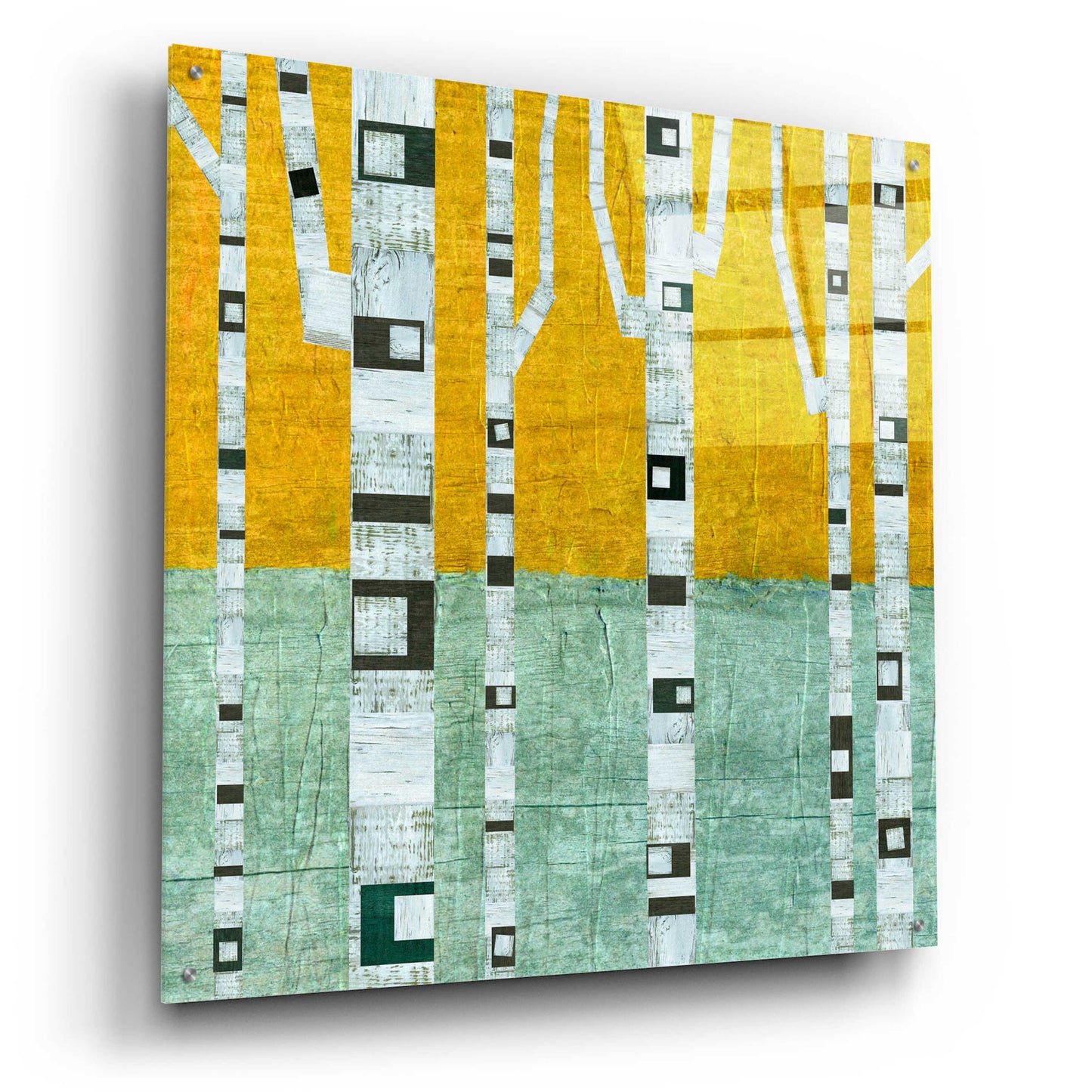 Epic Art 'Early Winter Birches' by Michelle Calkins, Acrylic Glass Wall Art,36x36