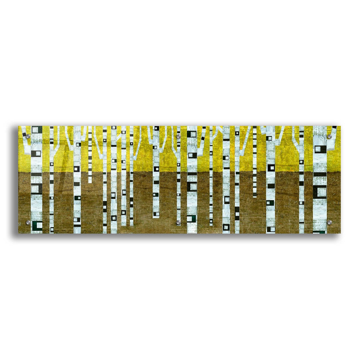 Epic Art 'Birches in Fall' by Michelle Calkins, Acrylic Glass Wall Art,36x12