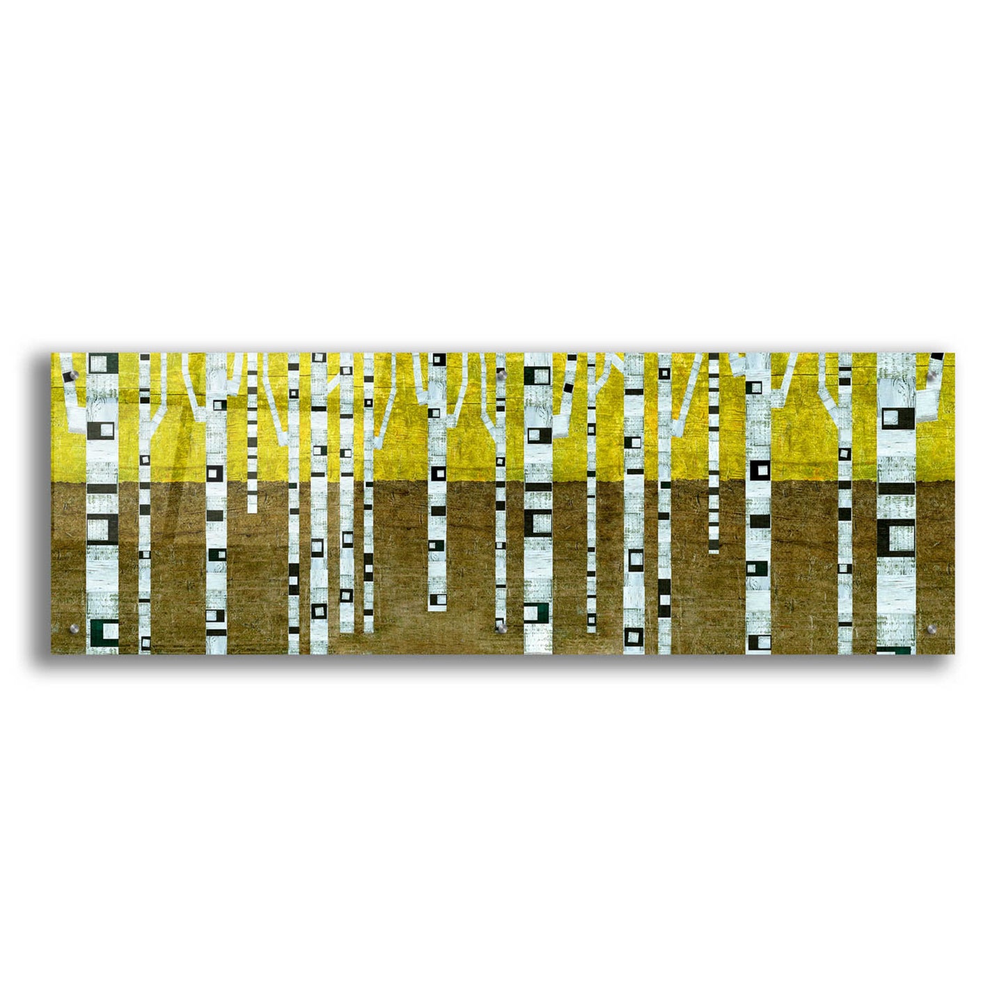 Epic Art 'Birches in Fall' by Michelle Calkins, Acrylic Glass Wall Art,48x16