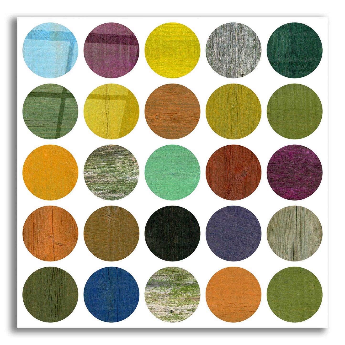 Epic Art 'Rustic Rounds 4.0' by Michelle Calkins, Acrylic Glass Wall Art,12x12