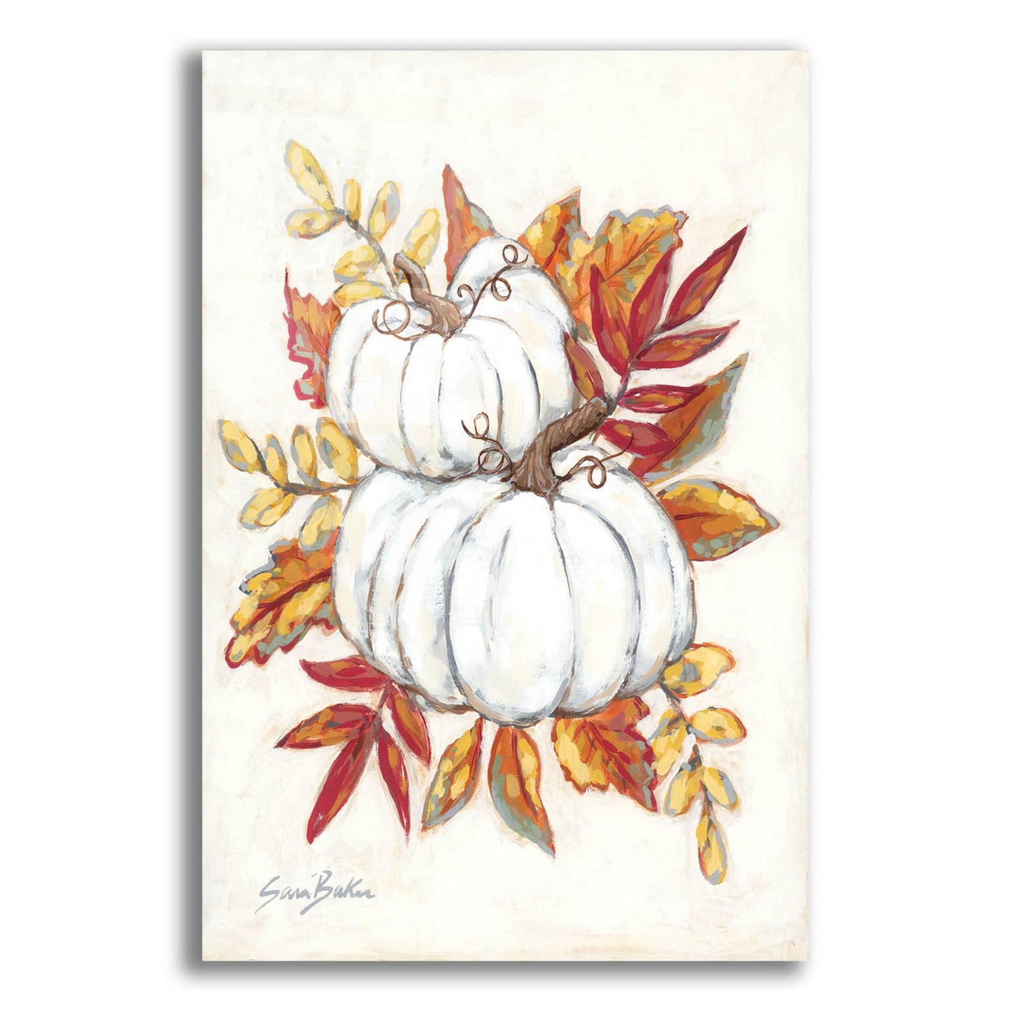 Epic Art 'White Pumpkin Fall Foliage' by Sara Baker, Acrylic Glass Wall Art,12x16