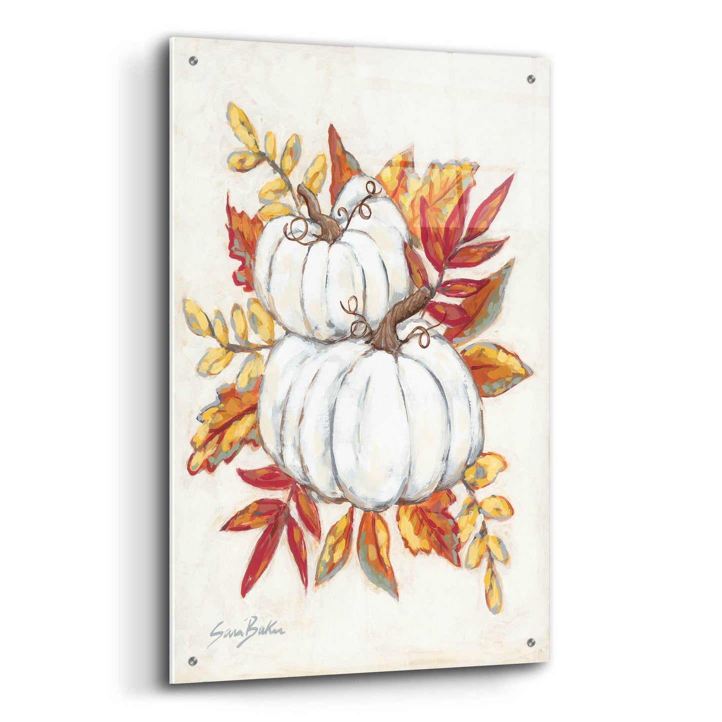 Epic Art 'White Pumpkin Fall Foliage' by Sara Baker, Acrylic Glass Wall Art,24x36