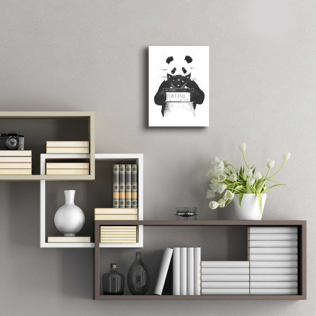 Bad Panda by Balazs Solti - 12x16 acrylic wall art in a room