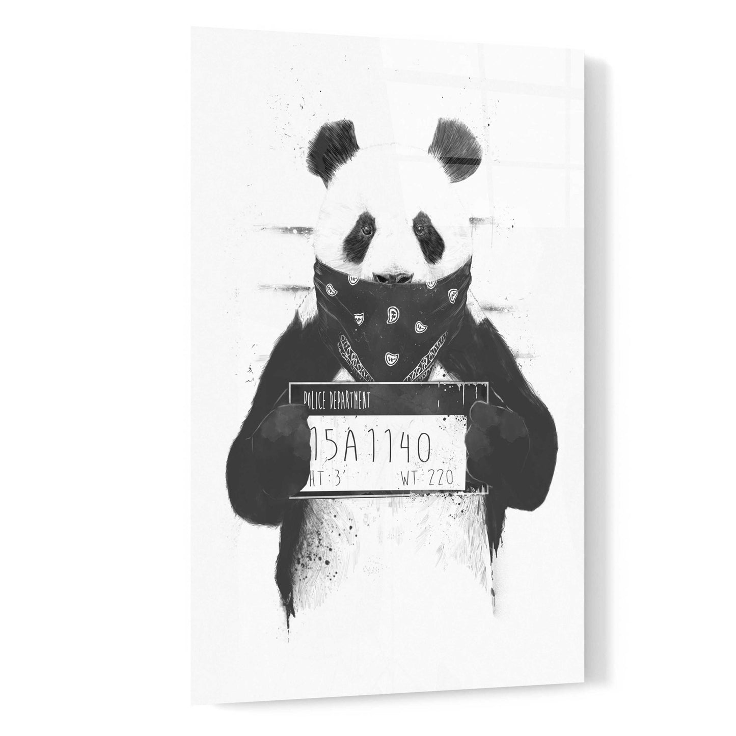 Epic Art 'Bad Panda' by Balazs Solti, Acrylic Glass Wall Art,16x24