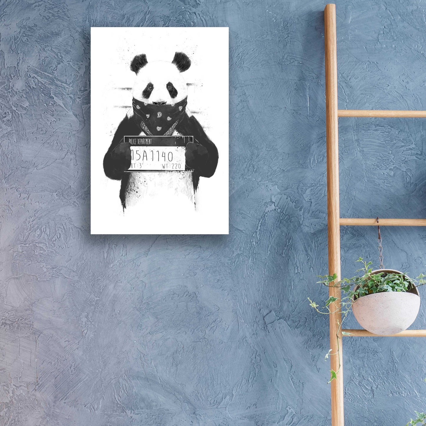 Epic Art 'Bad Panda' by Balazs Solti, Acrylic Glass Wall Art,16x24