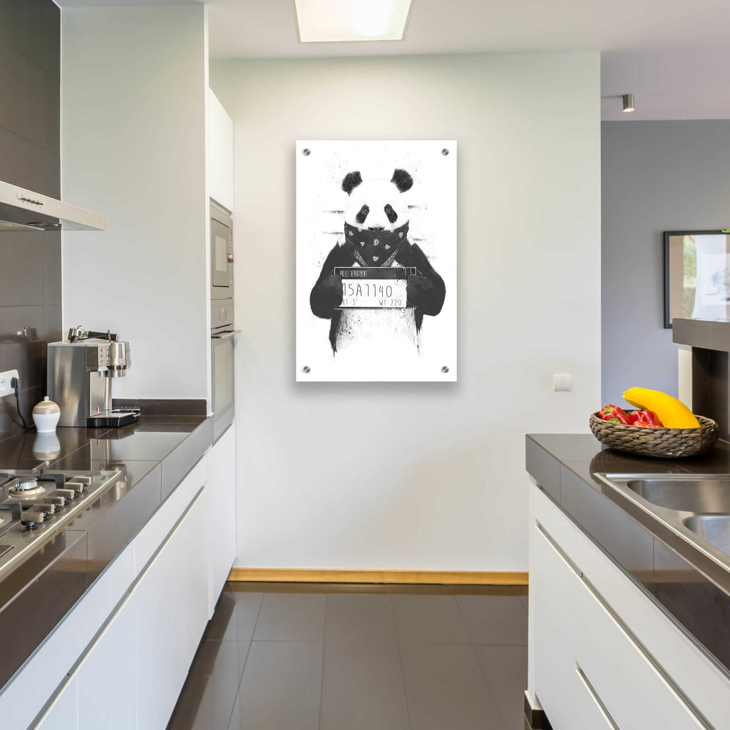 Bad Panda by Balazs Solti - 24x36 acrylic wall art in a room