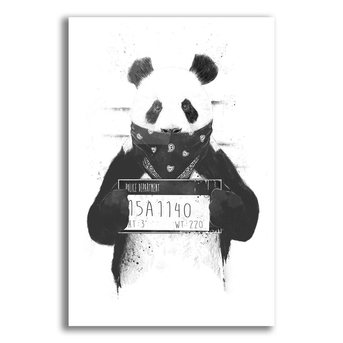 Bad Panda by Balazs Solti acrylic glass wall art