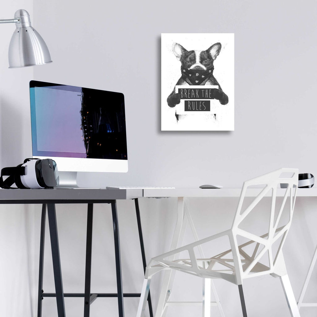 Rebel Dog by Balazs Solti - 12x16 acrylic wall art in a room