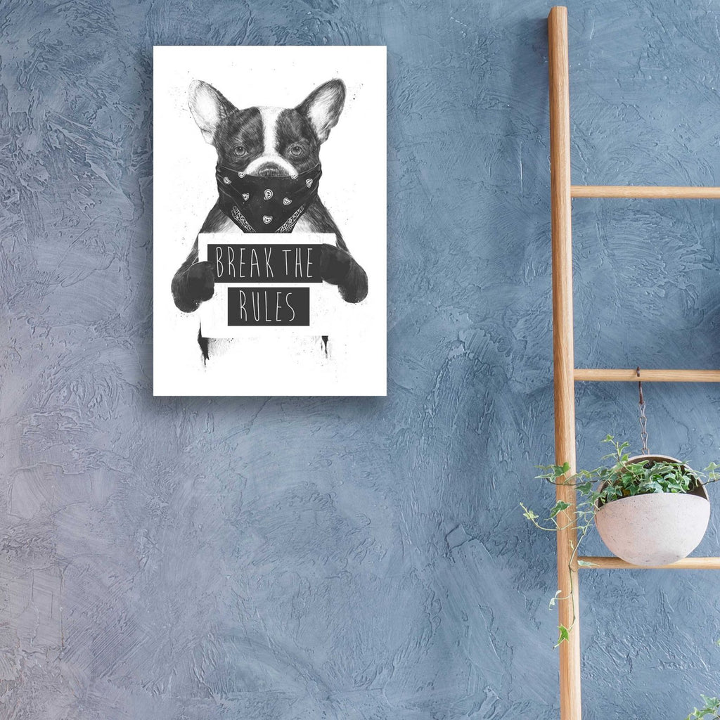 Rebel Dog by Balazs Solti - 16x24 acrylic wall art in a room