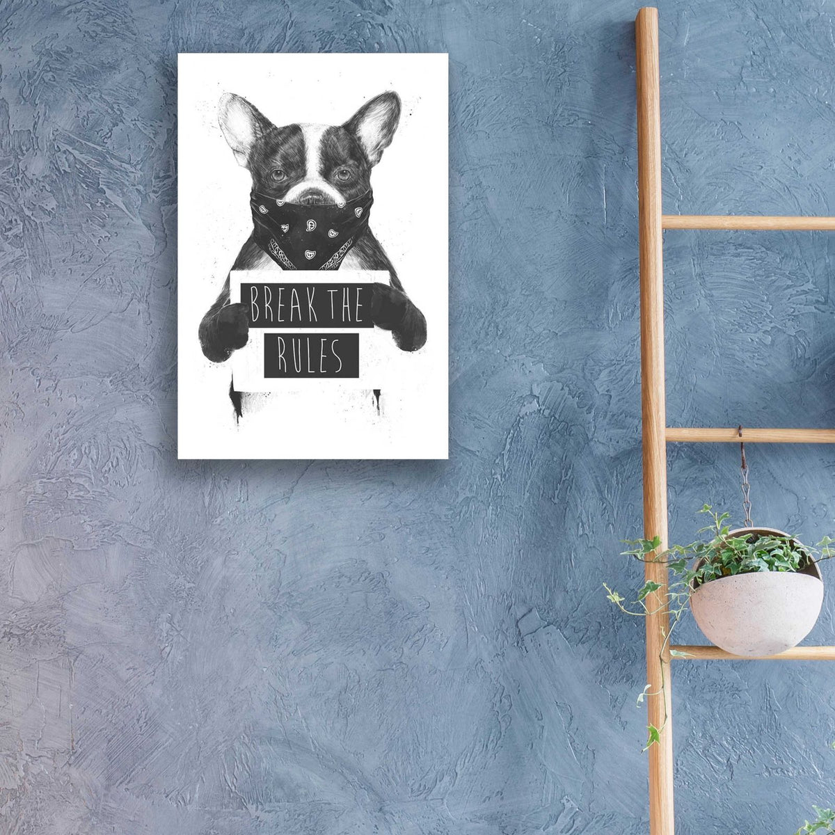 Rebel Dog by Balazs Solti - 16x24 acrylic wall art in a room