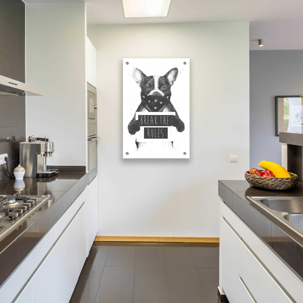 Rebel Dog by Balazs Solti - 24x36 acrylic wall art in a room