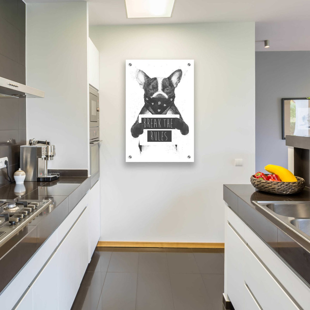 Rebel Dog by Balazs Solti - 24x36 acrylic wall art in a room