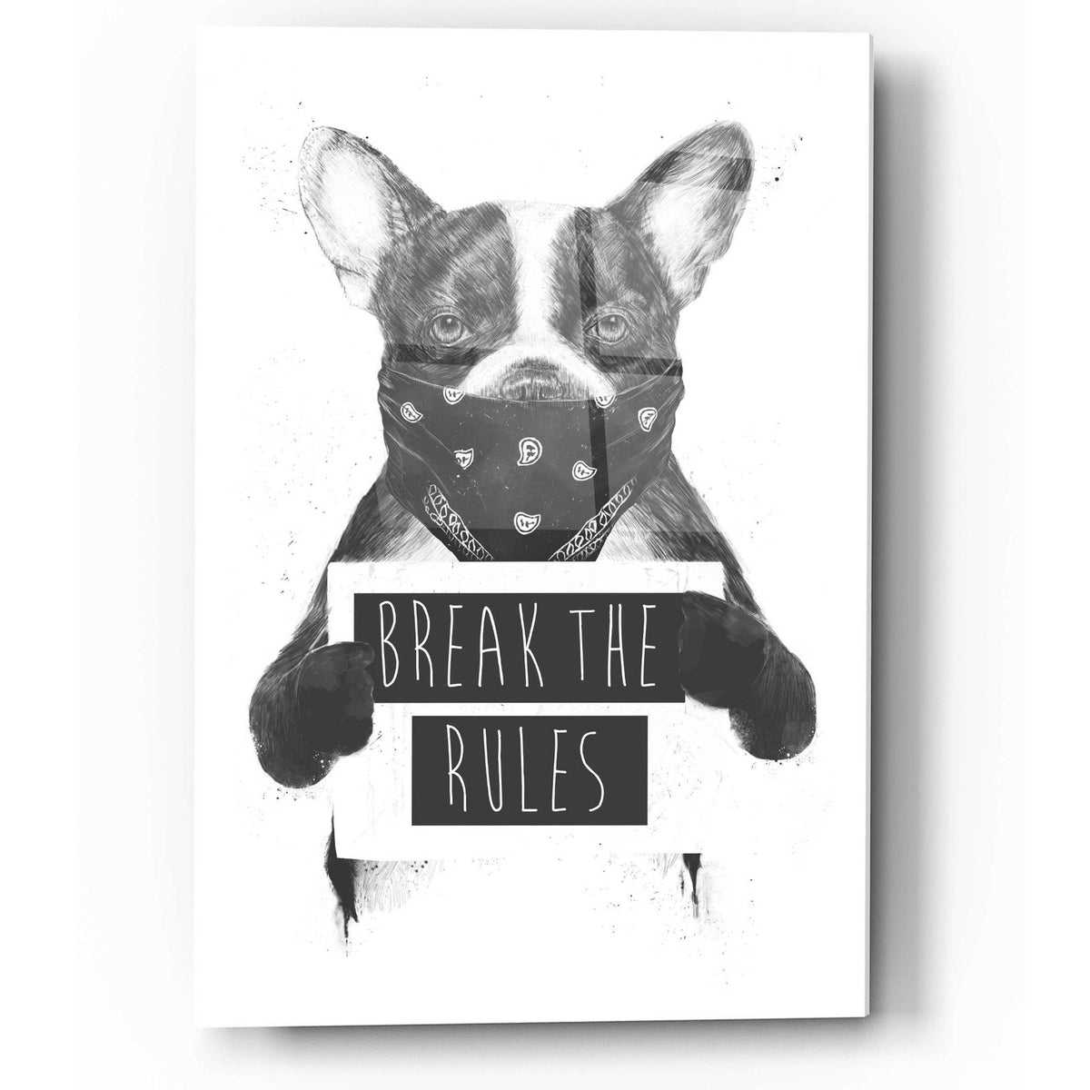 Rebel Dog by Balazs Solti acrylic glass wall art