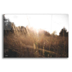 Epic Art 'Bright Sun Haze I' by Donnie Quillen, Acrylic Glass Wall Art