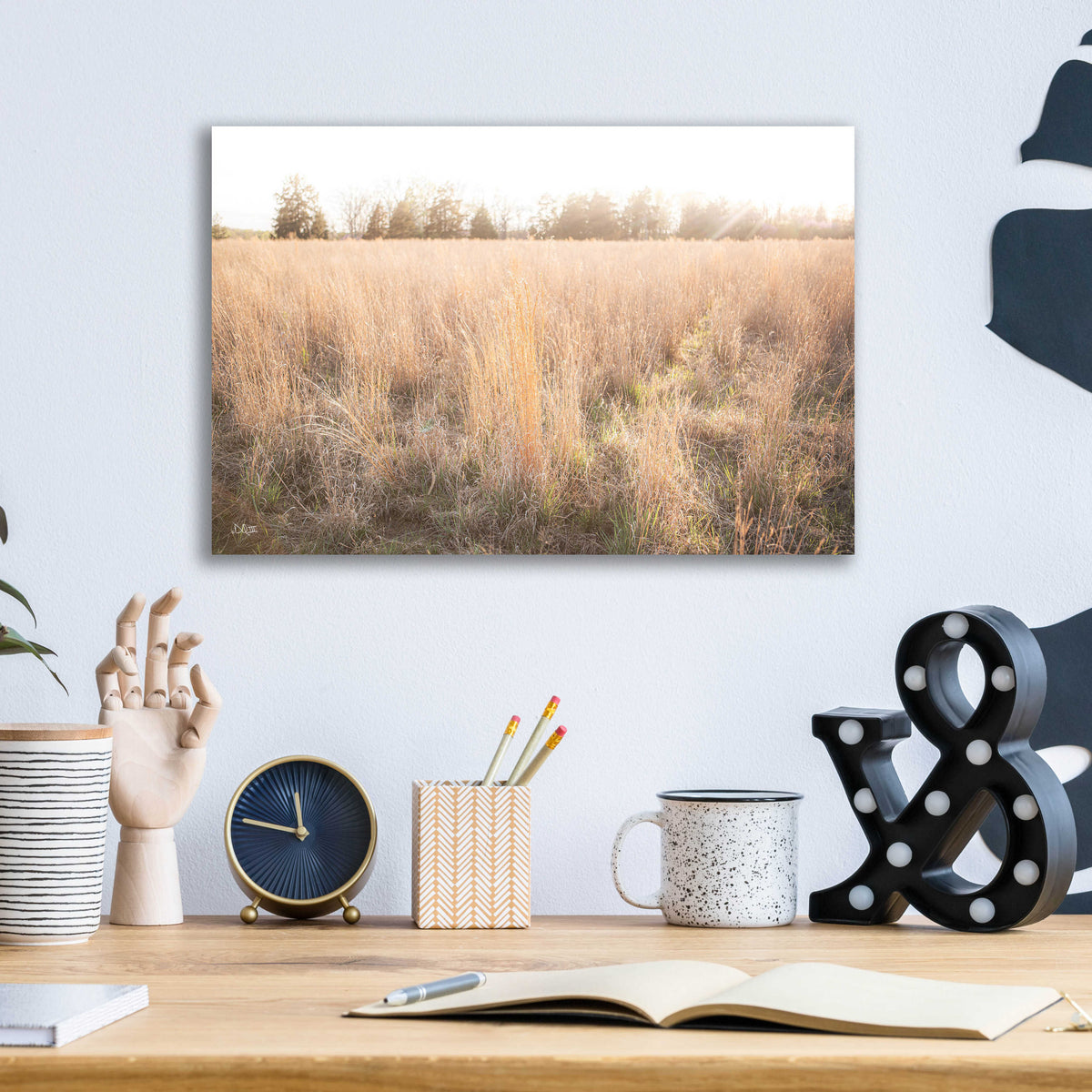 Epic Art 'Bright Sun Haze III' by Donnie Quillen, Acrylic Glass Wall Art,16x12