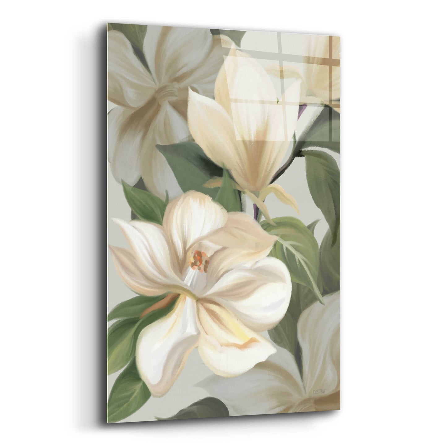 Epic Art 'Magnolia Blossoms I' by House Fenway, Acrylic Glass Wall Art,12x16