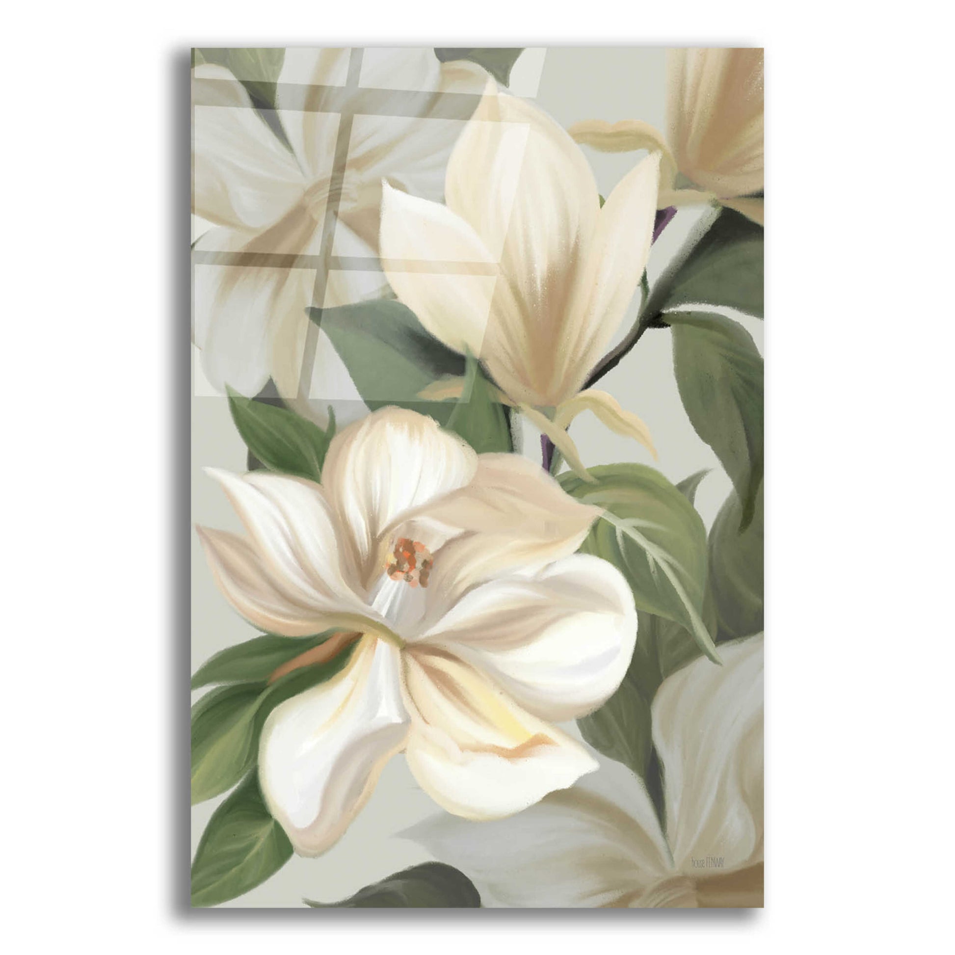 Epic Art 'Magnolia Blossoms I' by House Fenway, Acrylic Glass Wall Art,12x16