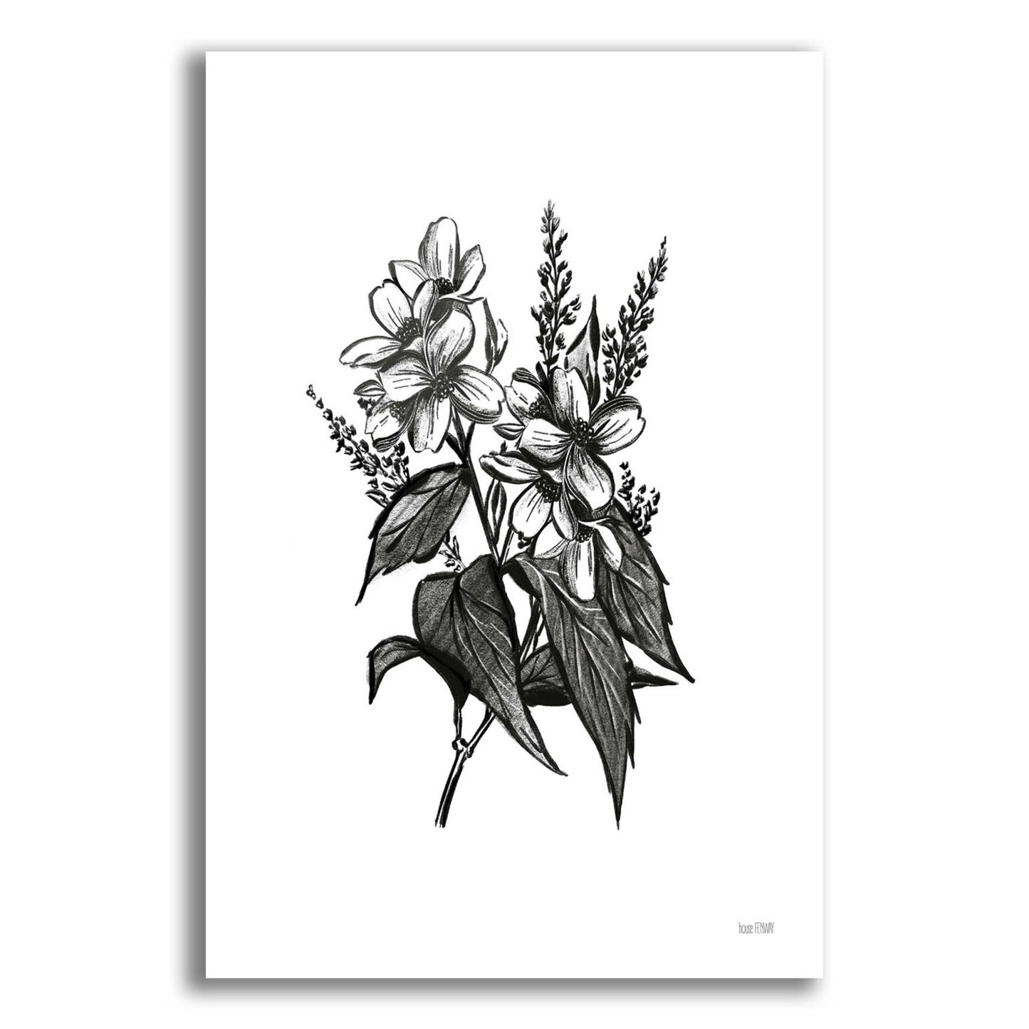 Epic Art 'Pen And Ink Wildflower I' by House Fenway, Acrylic Glass Wall Art,12x16