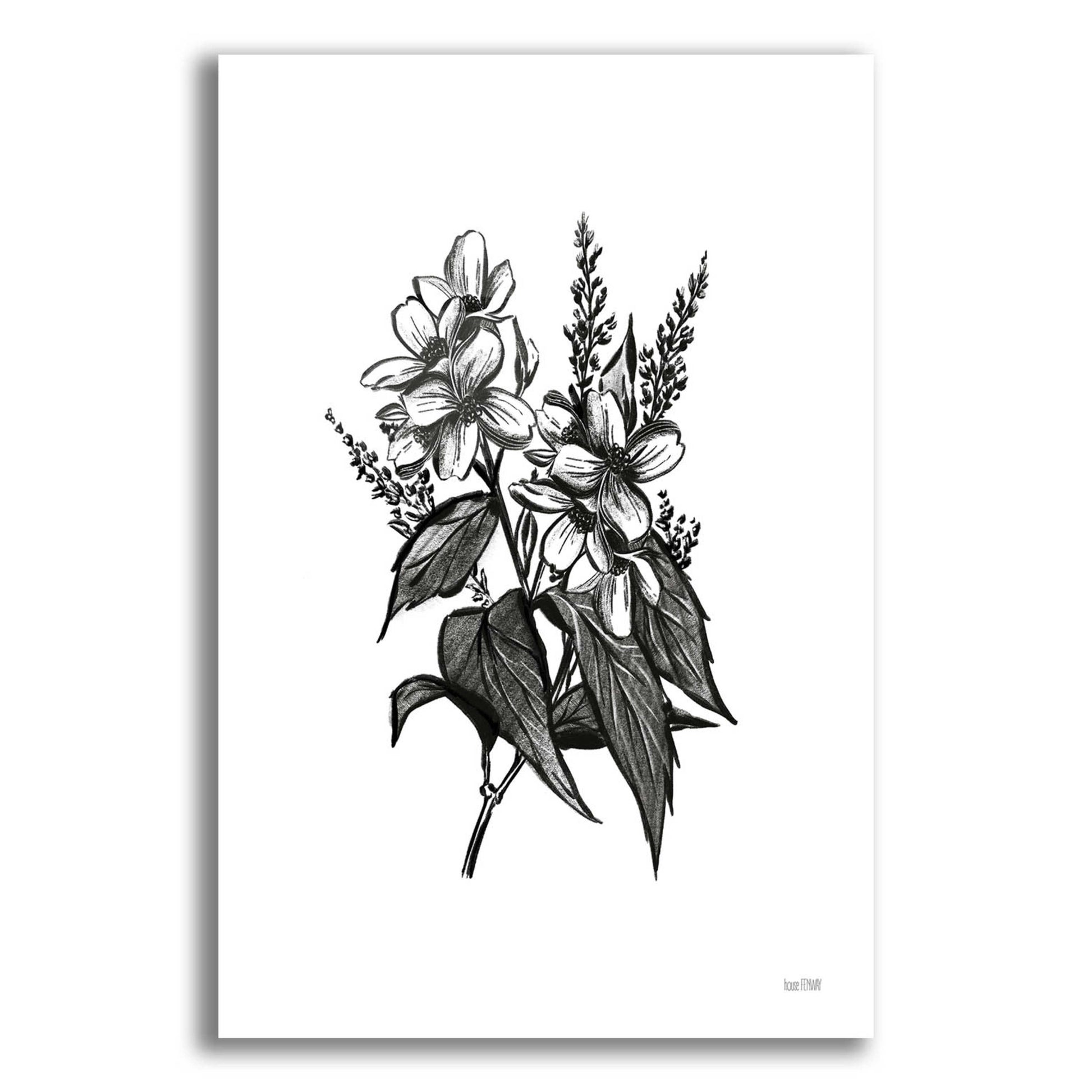 Epic Art 'Pen And Ink Wildflower I' by House Fenway, Acrylic Glass Wall Art,16x24