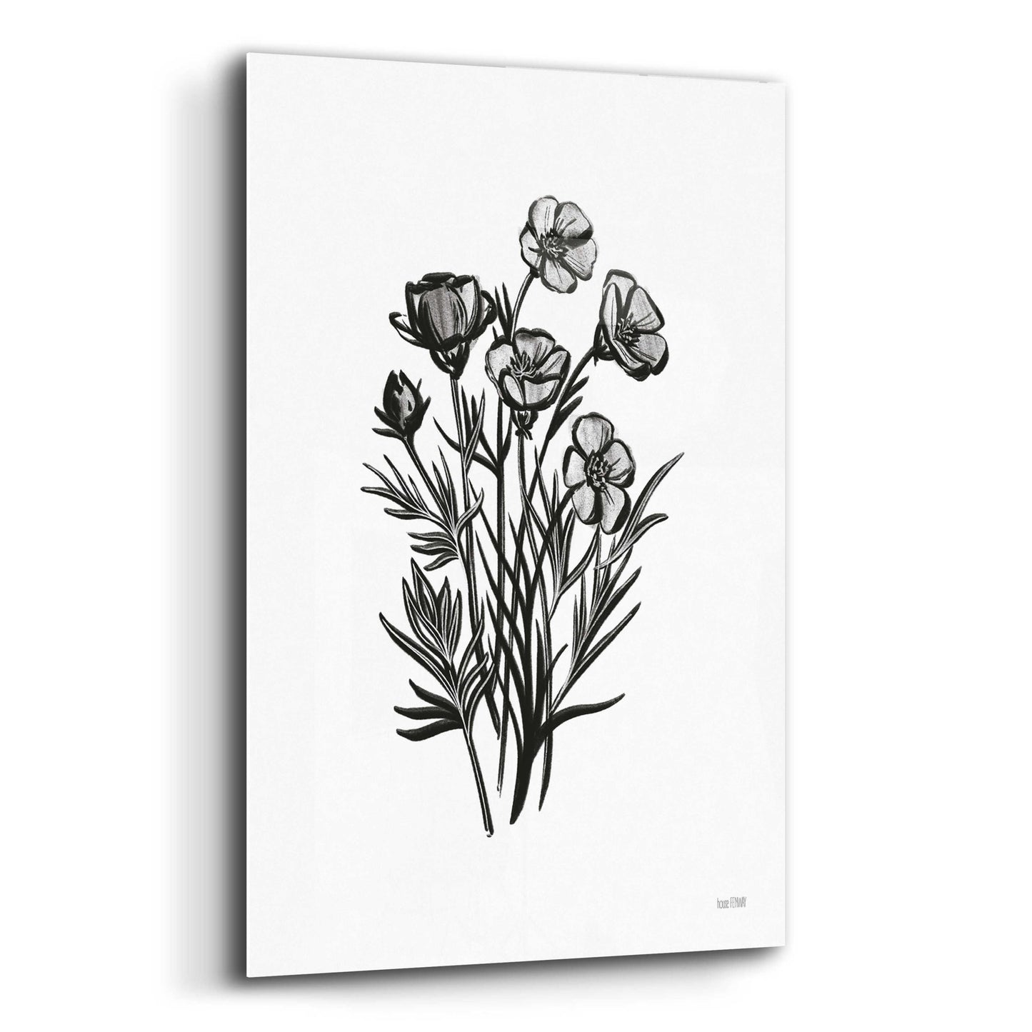 Epic Art 'Pen And Ink Wildflower II' by House Fenway, Acrylic Glass Wall Art,12x16