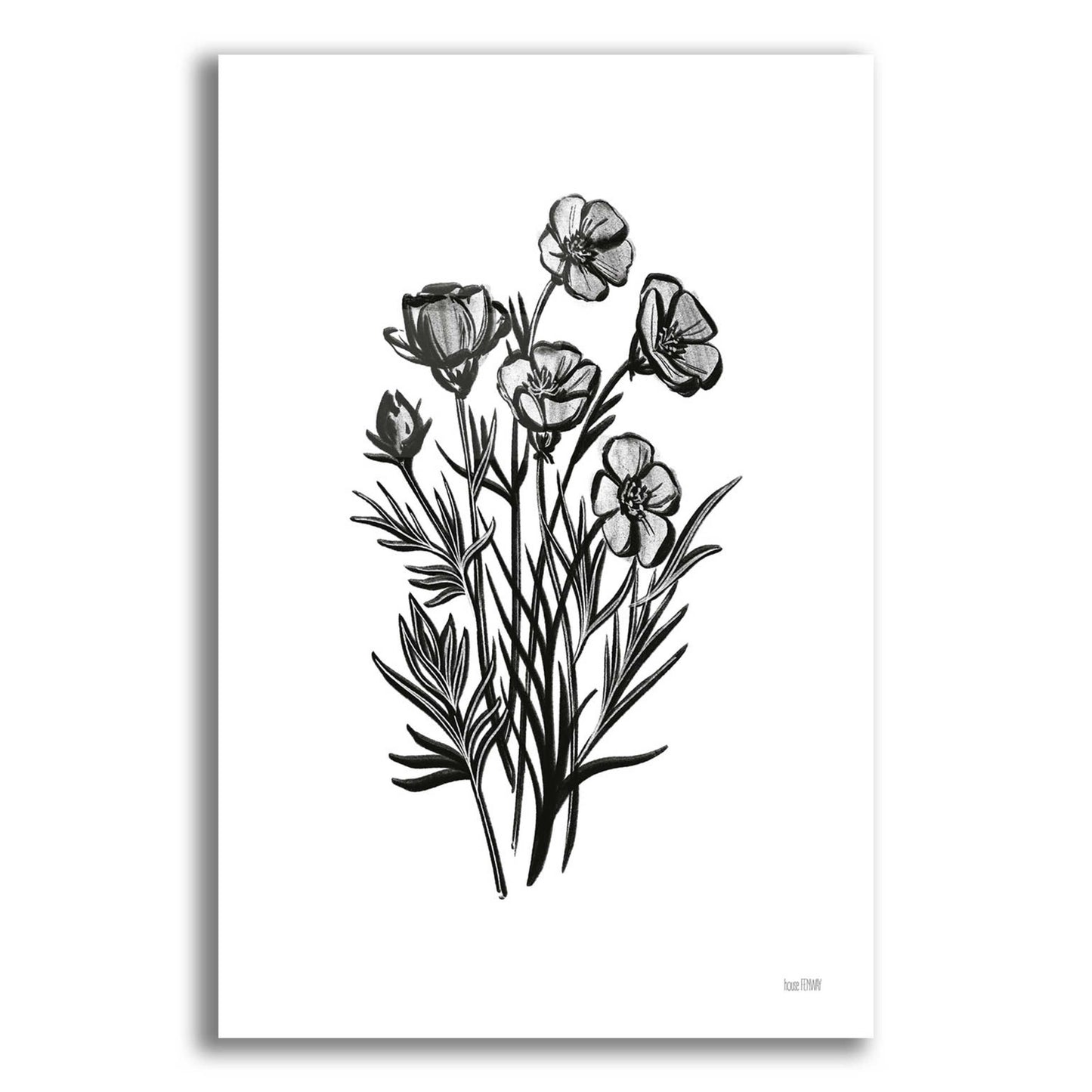 Epic Art 'Pen And Ink Wildflower II' by House Fenway, Acrylic Glass Wall Art,12x16