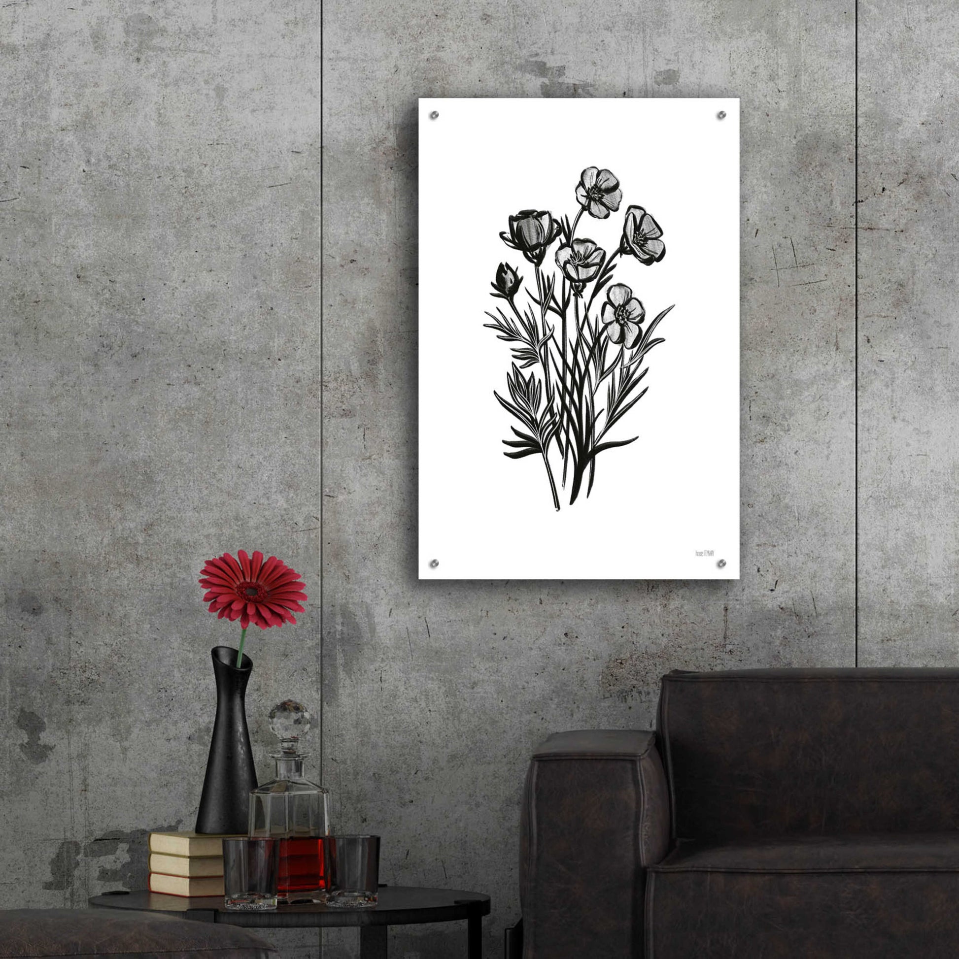 Epic Art 'Pen And Ink Wildflower II' by House Fenway, Acrylic Glass Wall Art,24x36