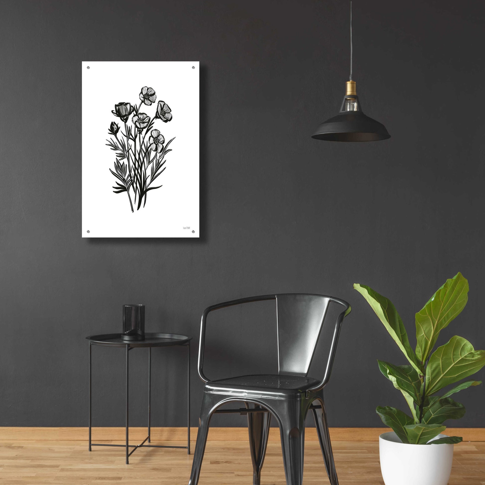 Epic Art 'Pen And Ink Wildflower II' by House Fenway, Acrylic Glass Wall Art,24x36