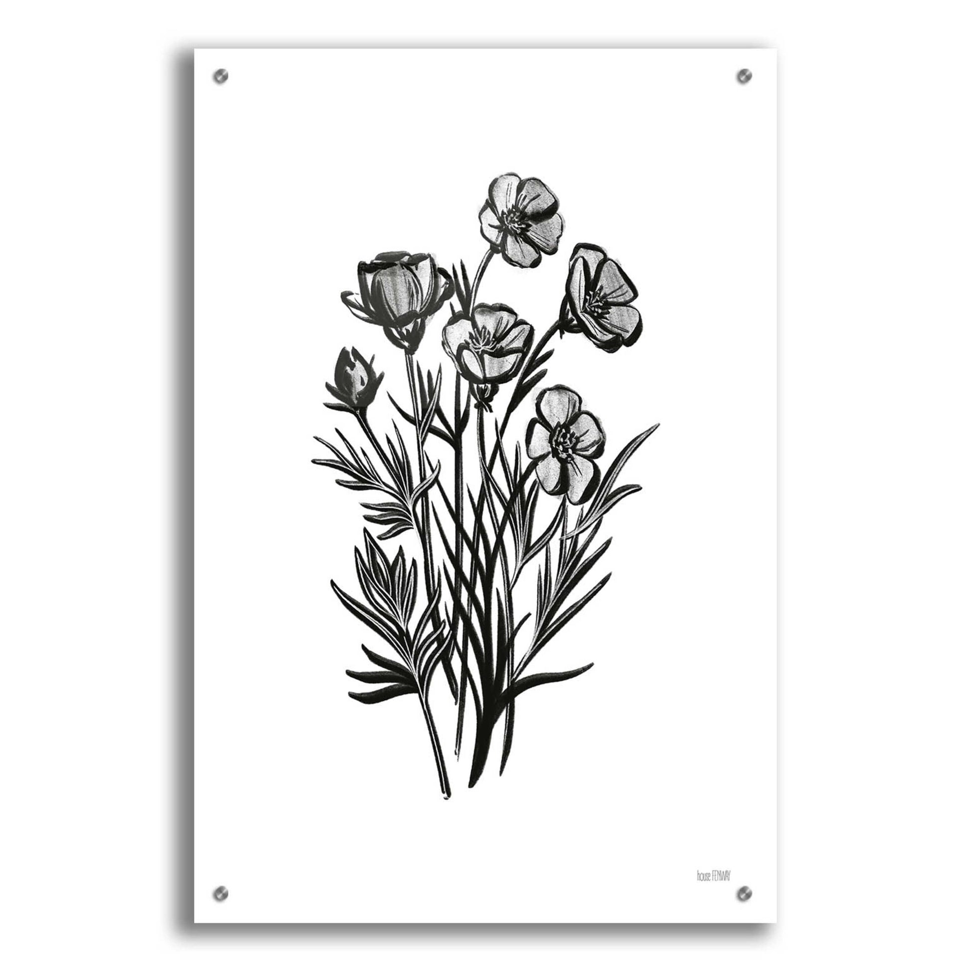 Epic Art 'Pen And Ink Wildflower II' by House Fenway, Acrylic Glass Wall Art,24x36