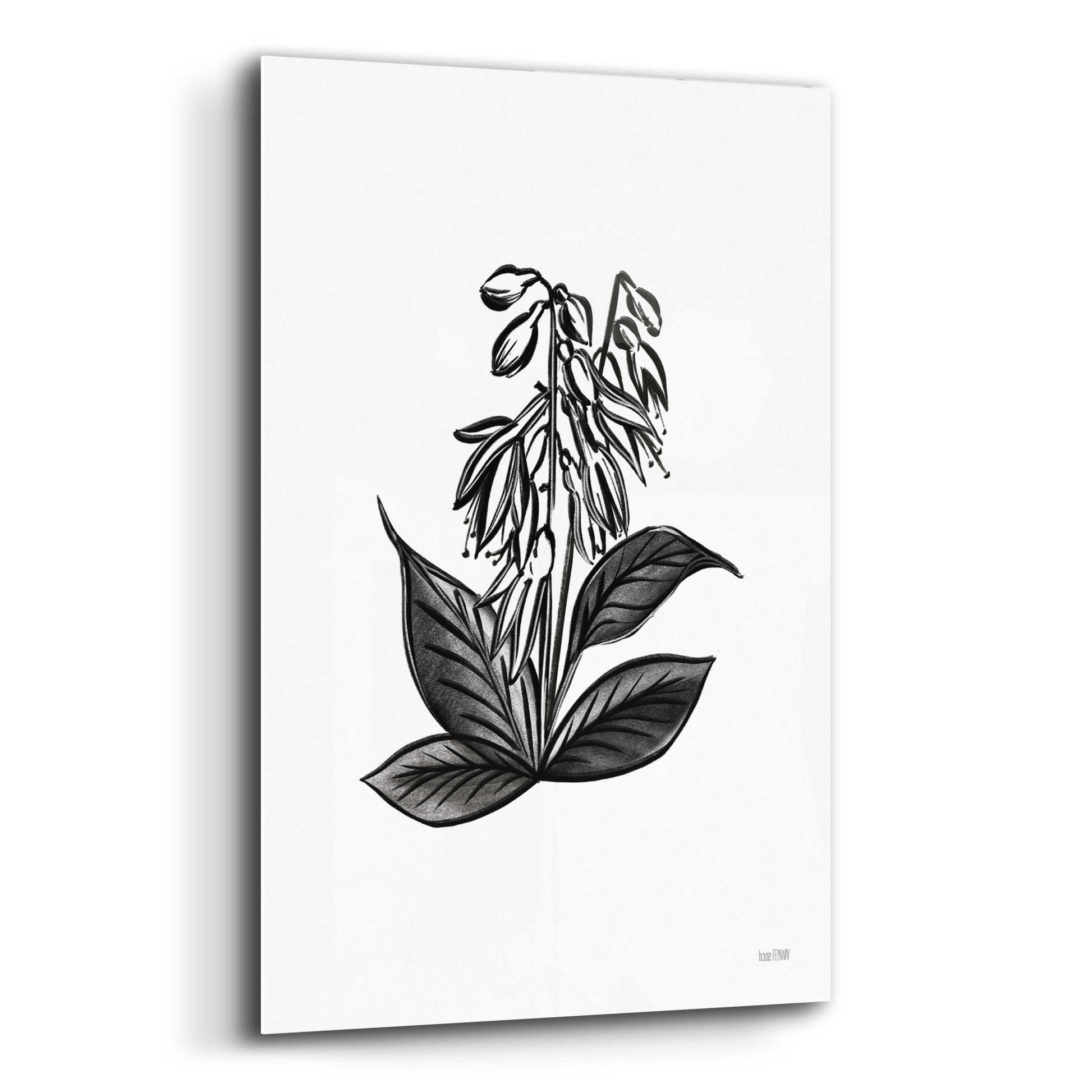 Epic Art 'Pen And Ink Wildflower III' by House Fenway, Acrylic Glass Wall Art,12x16