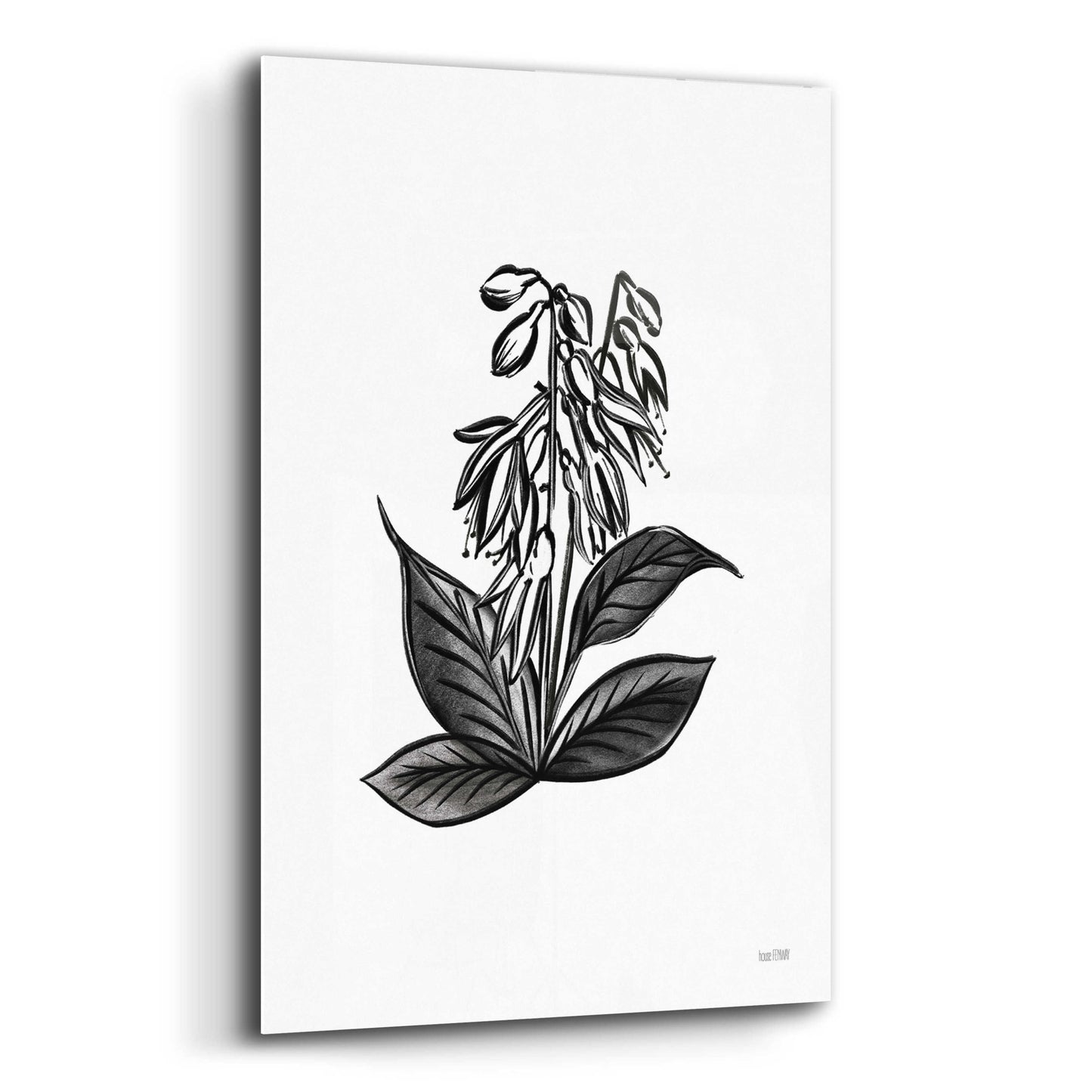 Epic Art 'Pen And Ink Wildflower III' by House Fenway, Acrylic Glass Wall Art,16x24