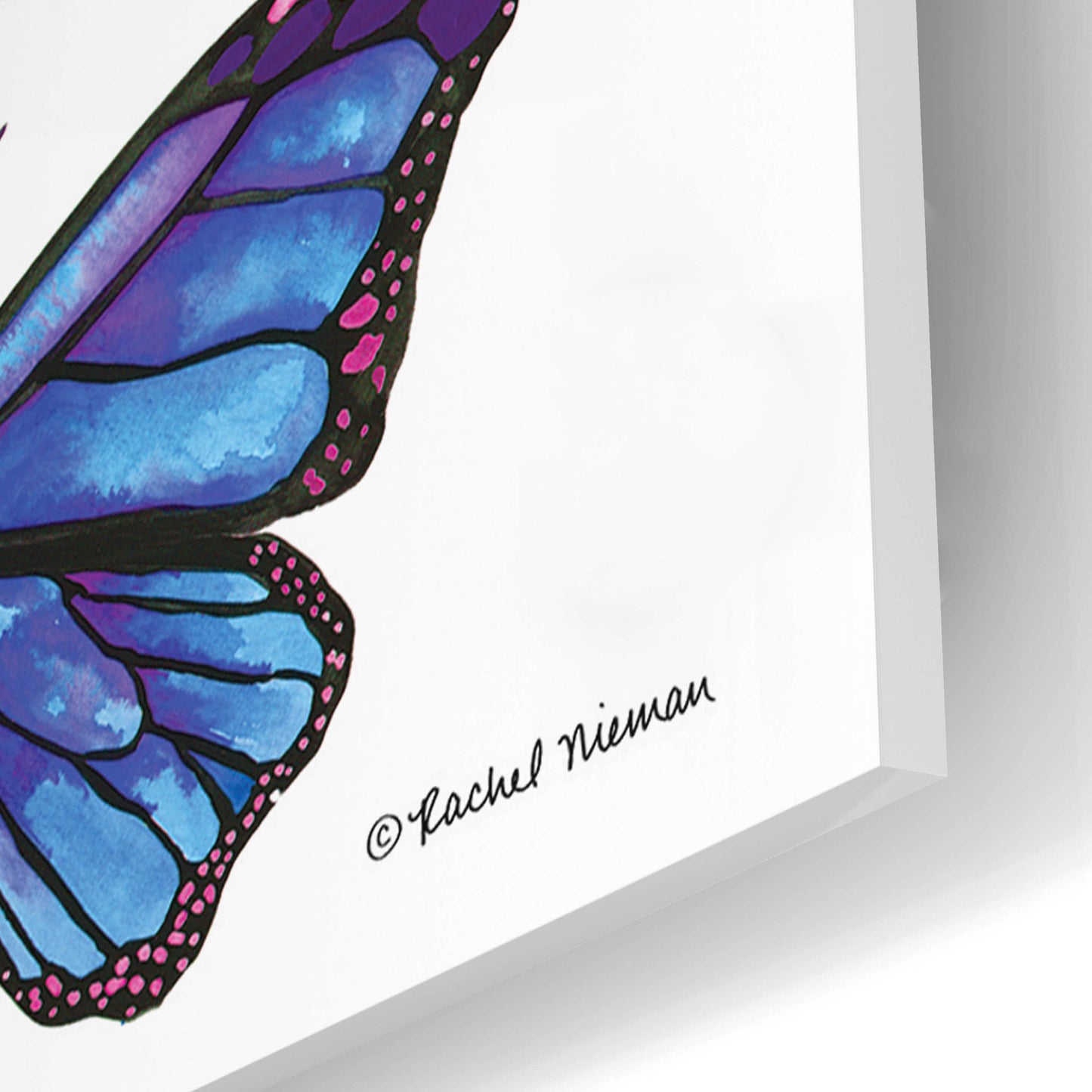 Epic Art 'Vibrant Flying Butterflies' by Rachel Nieman, Acrylic Glass Wall Art,12x16