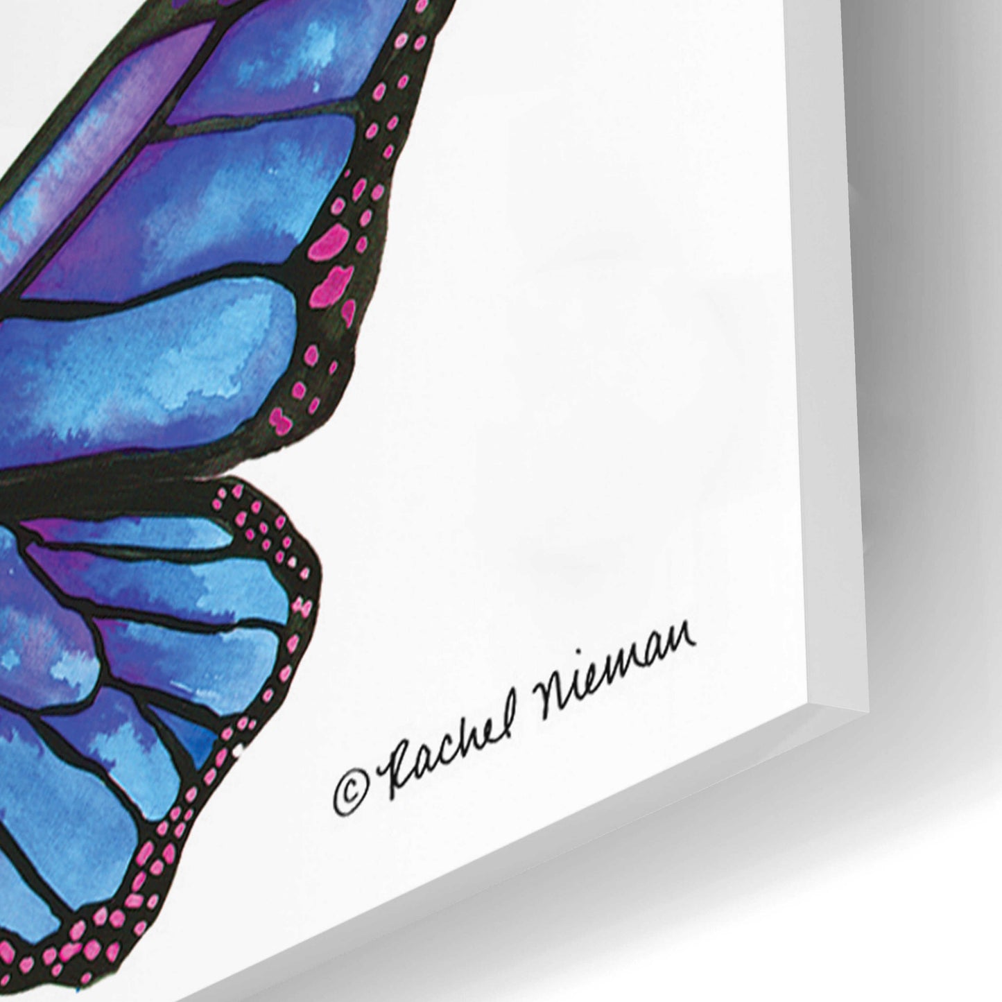 Epic Art 'Vibrant Flying Butterflies' by Rachel Nieman, Acrylic Glass Wall Art,16x24