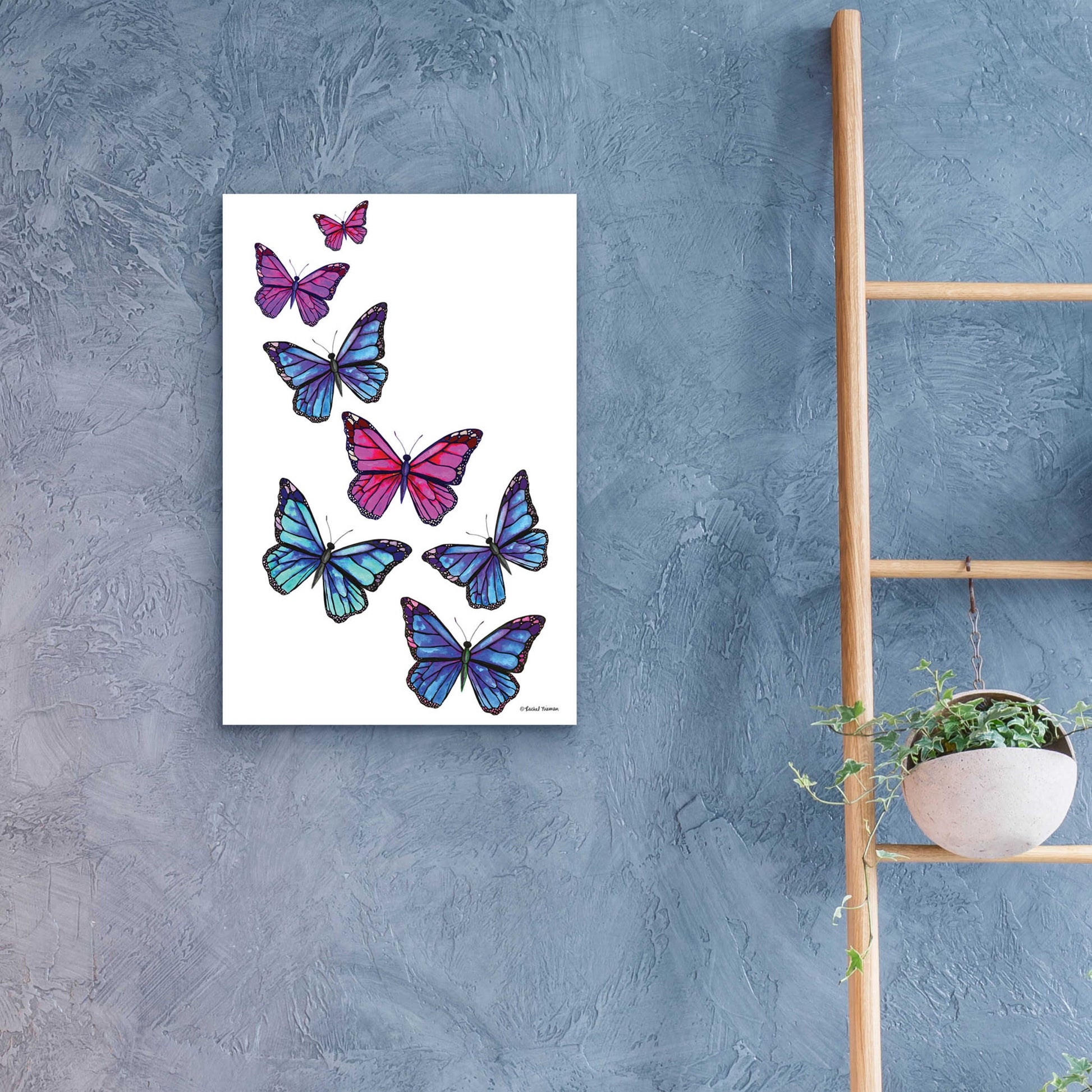 Epic Art 'Vibrant Flying Butterflies' by Rachel Nieman, Acrylic Glass Wall Art,16x24