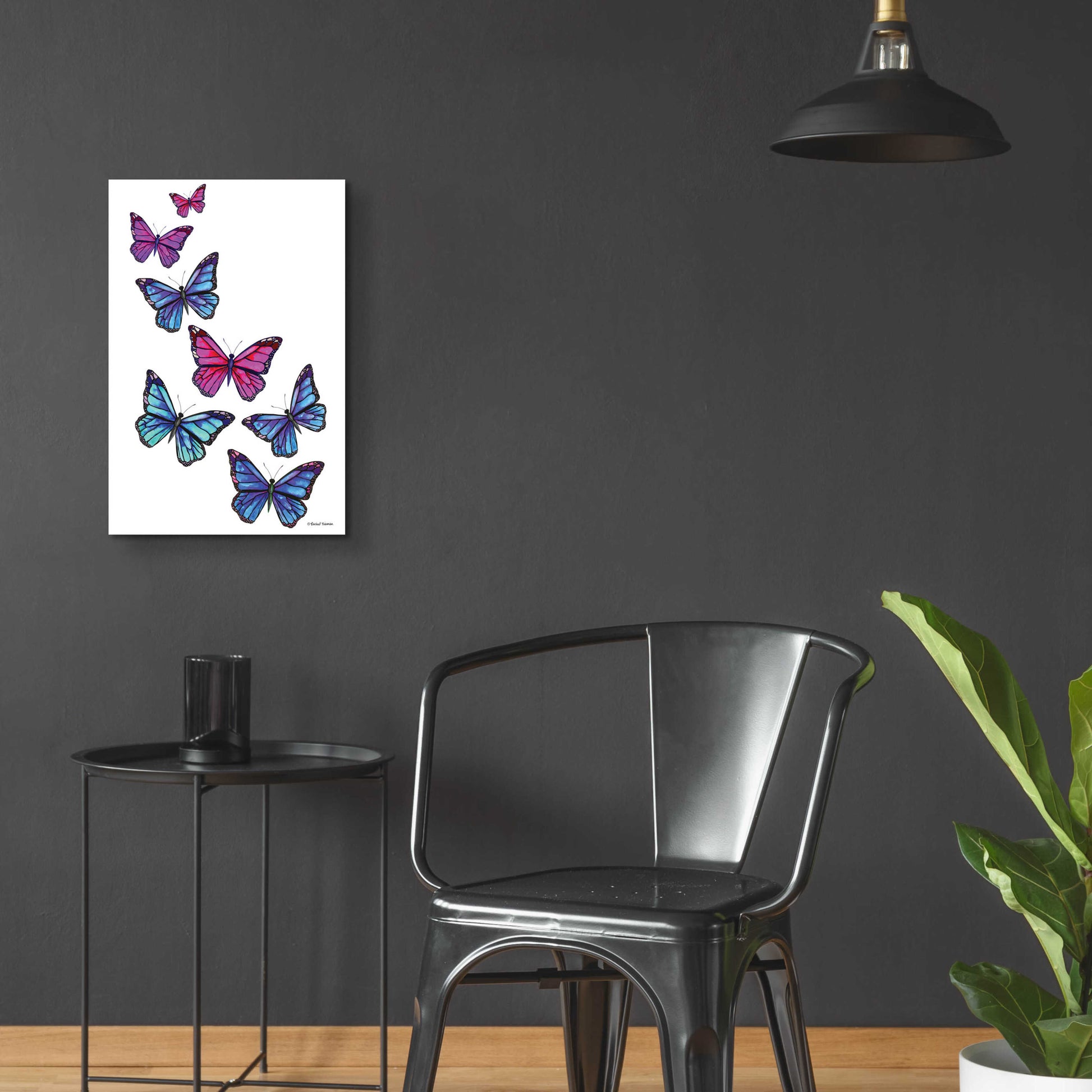 Epic Art 'Vibrant Flying Butterflies' by Rachel Nieman, Acrylic Glass Wall Art,16x24