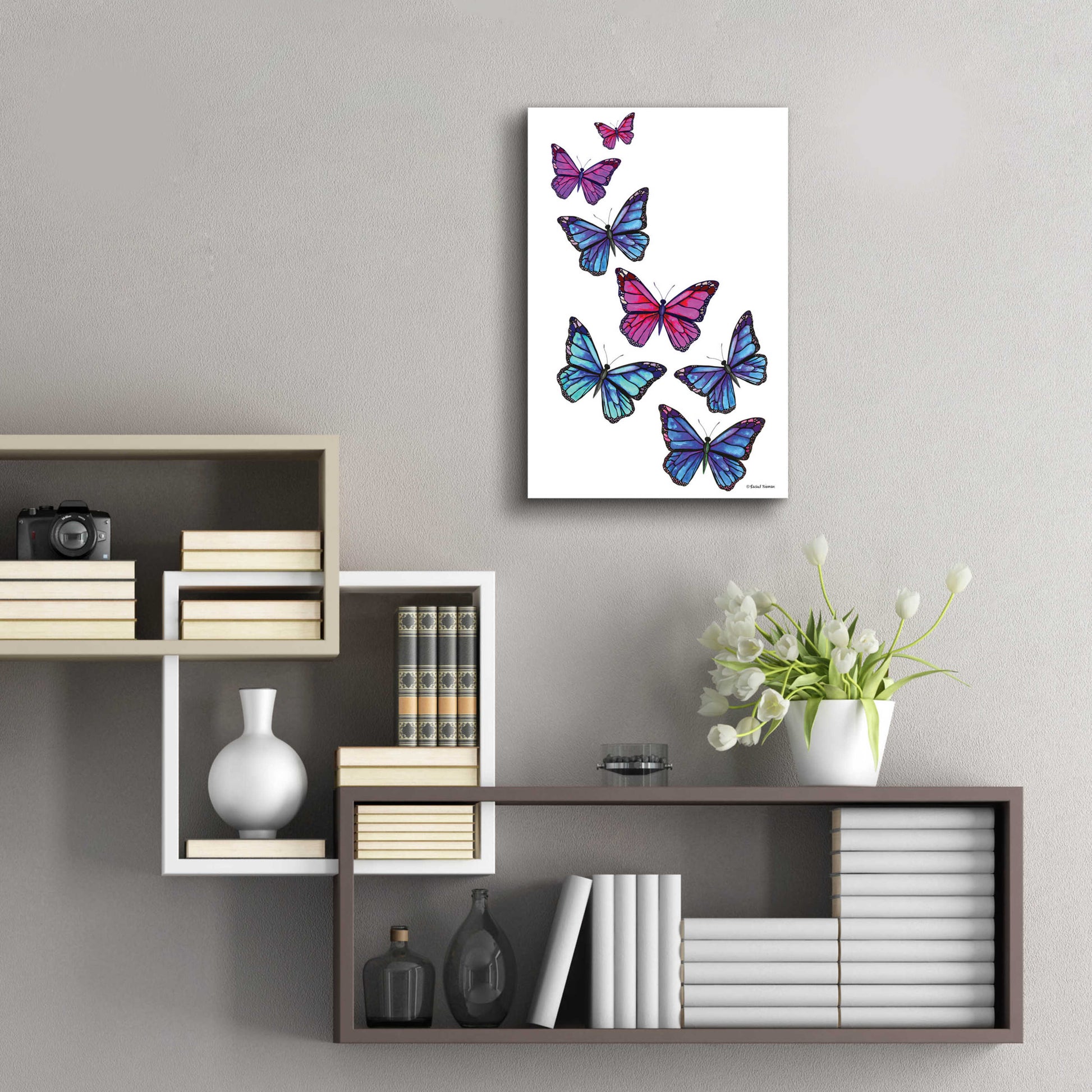 Epic Art 'Vibrant Flying Butterflies' by Rachel Nieman, Acrylic Glass Wall Art,16x24