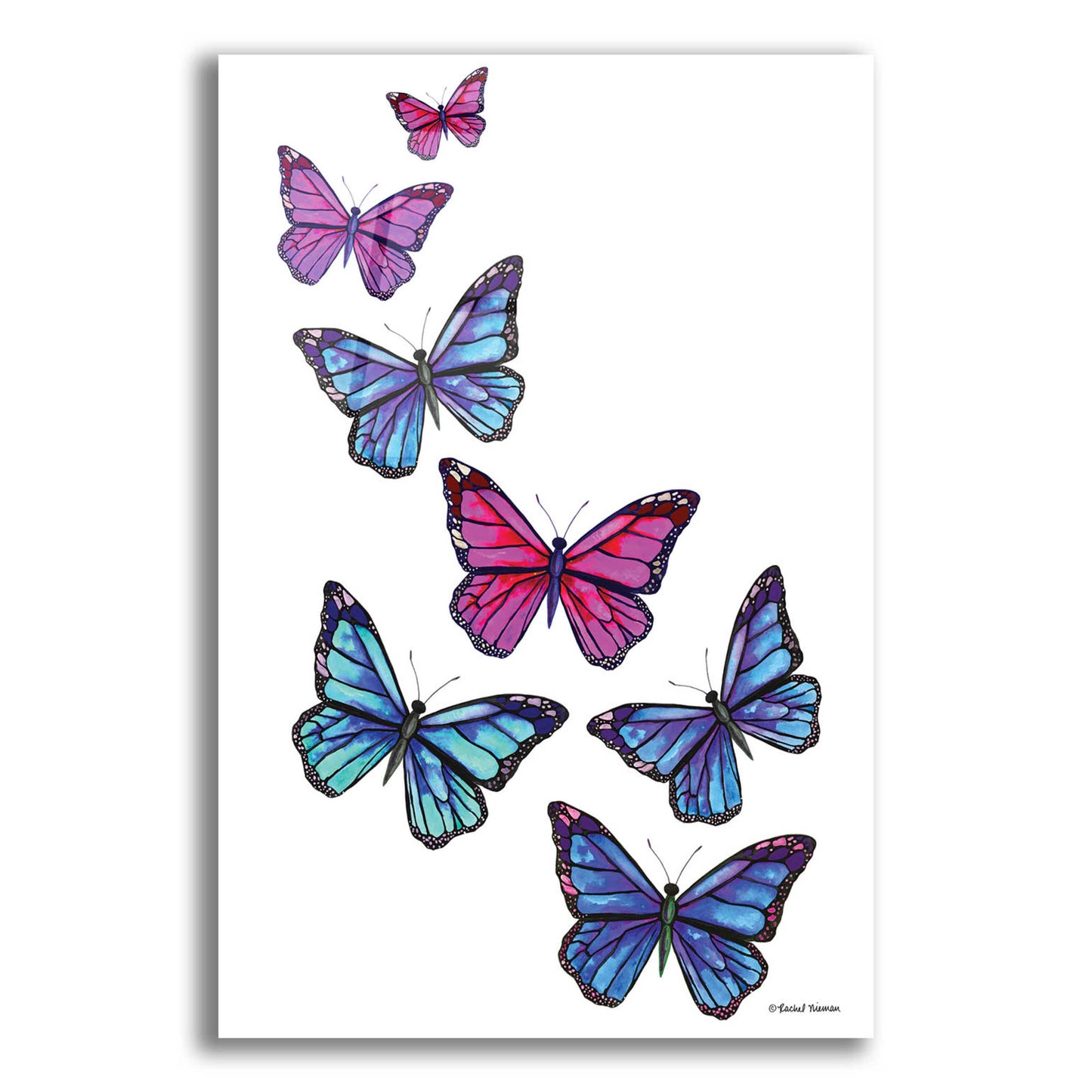 Epic Art 'Vibrant Flying Butterflies' by Rachel Nieman, Acrylic Glass Wall Art