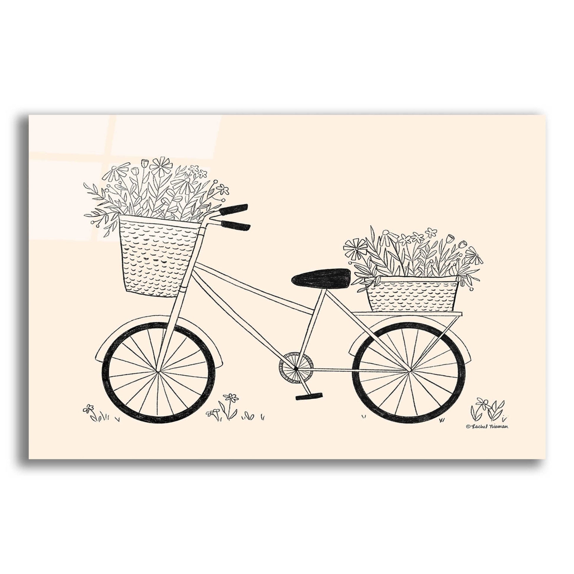 Epic Art 'Spring Flower Bike Sketch' by Rachel Nieman, Acrylic Glass Wall Art,24x16
