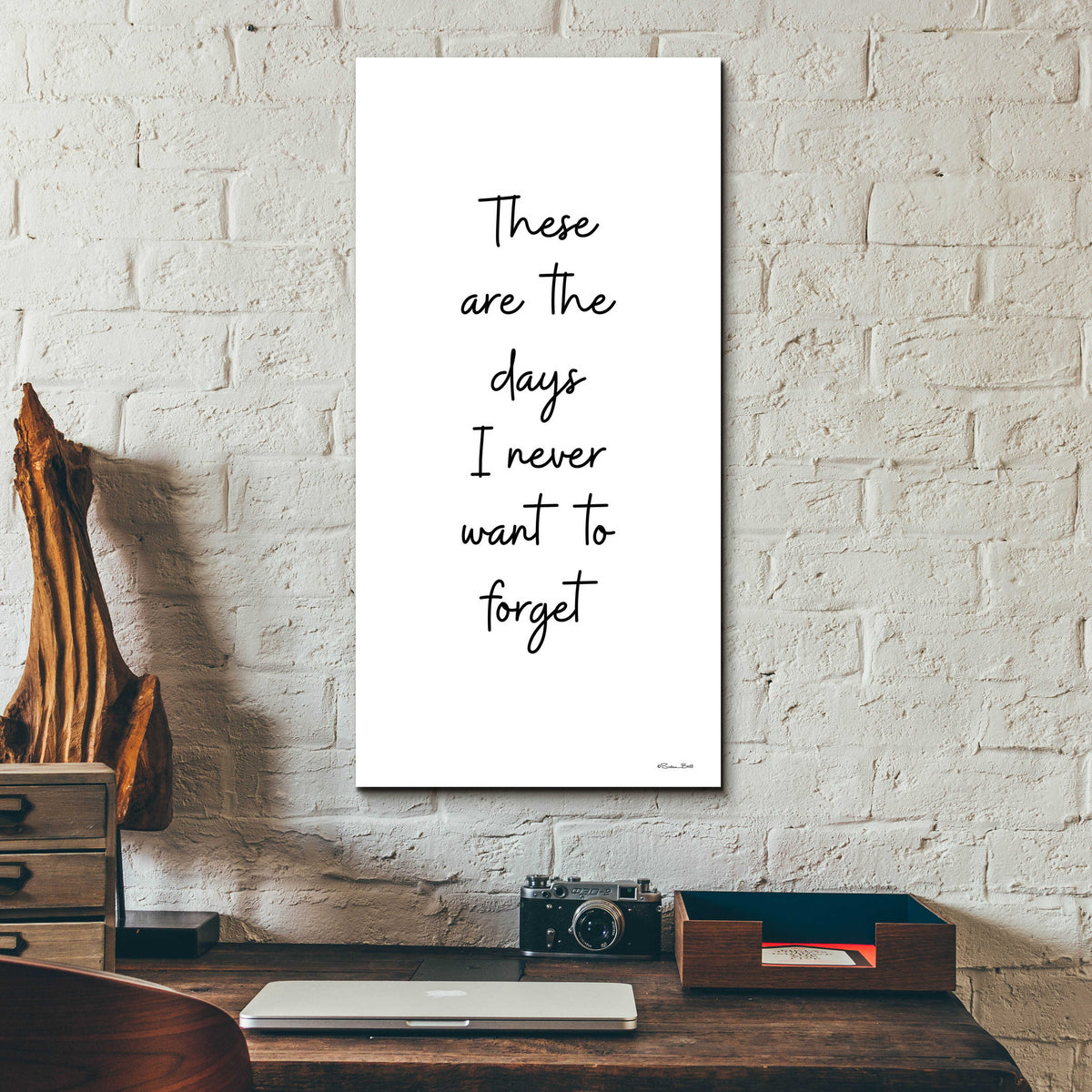 Epic Art 'These Are the Days' by Susan Ball, Acrylic Glass Wall Art,12x24