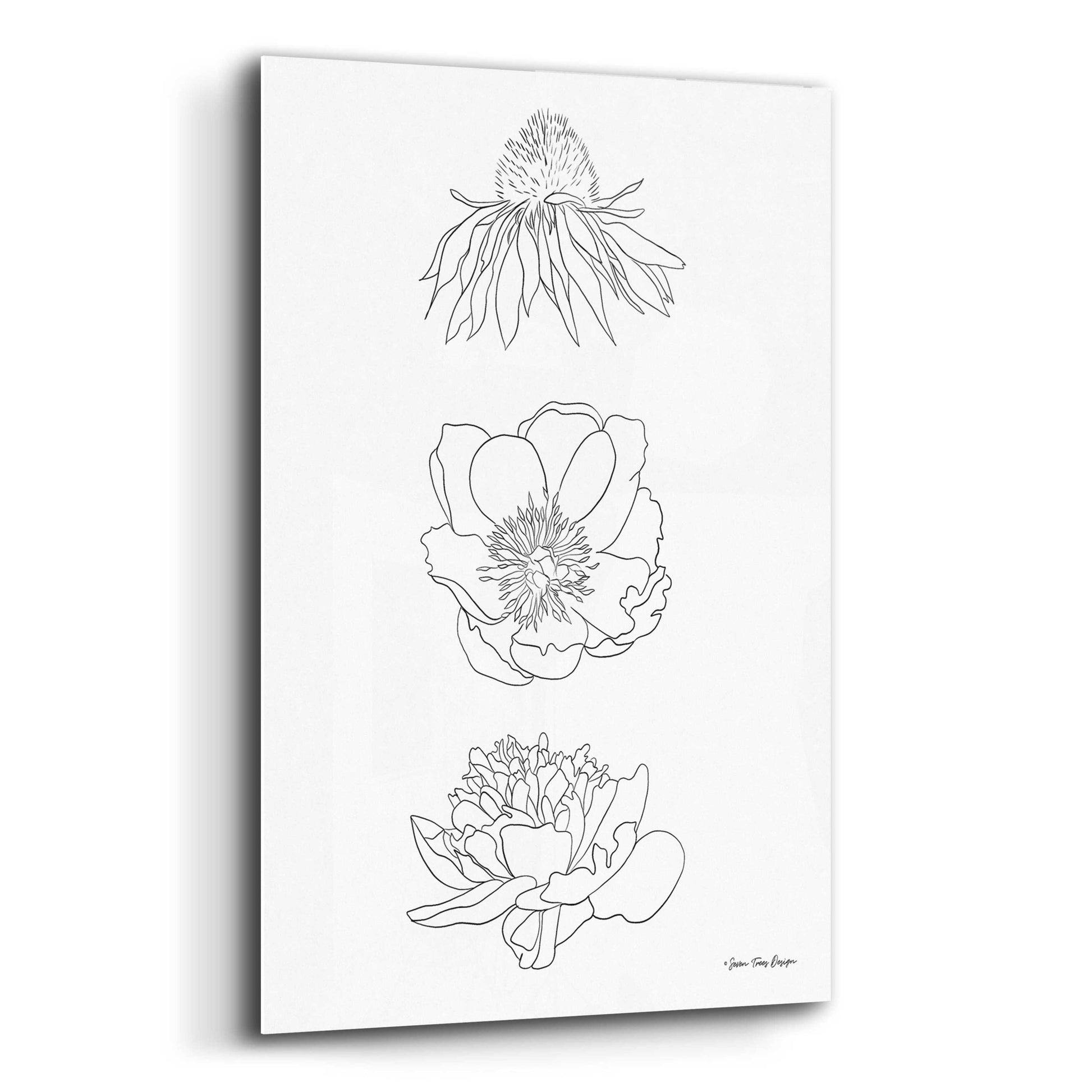 Epic Art 'Hand Drawn Flowers' by Seven Trees Design, Acrylic Glass Wall Art,12x16