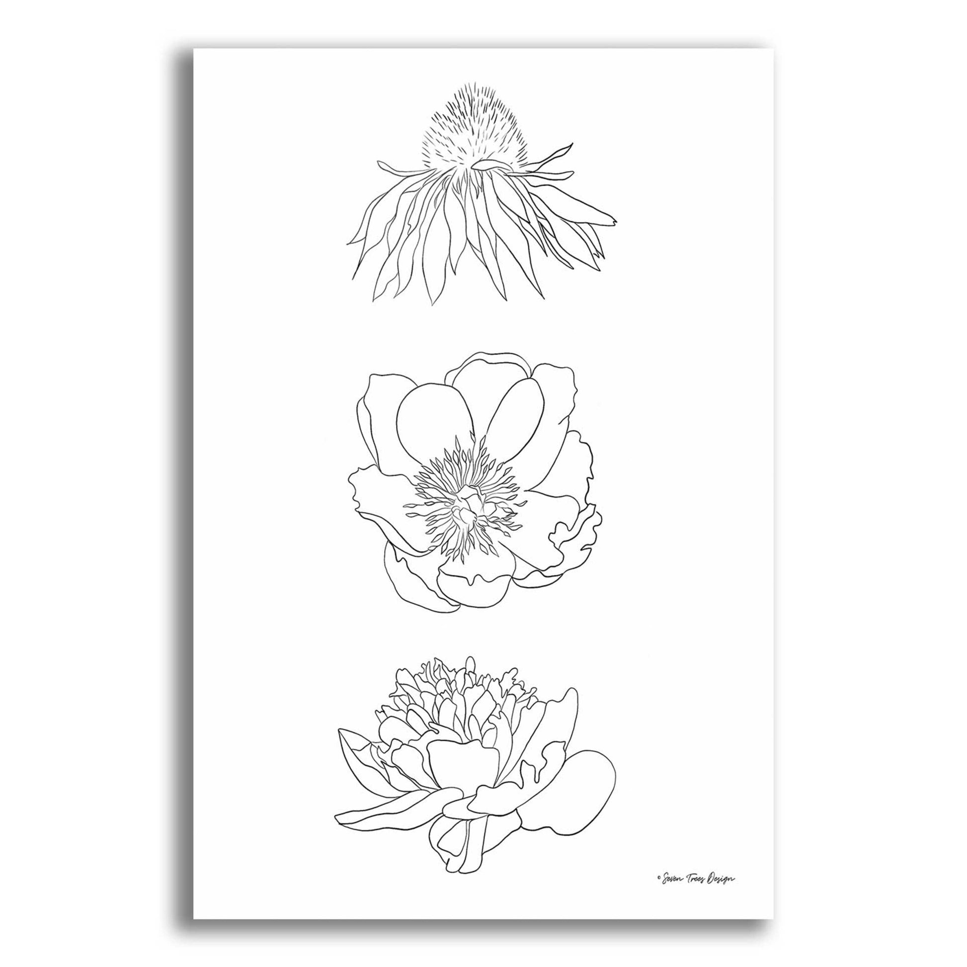 Epic Art 'Hand Drawn Flowers' by Seven Trees Design, Acrylic Glass Wall Art,12x16