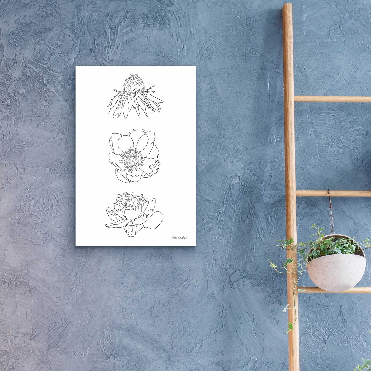 Epic Art 'Hand Drawn Flowers' by Seven Trees Design, Acrylic Glass Wall Art,16x24