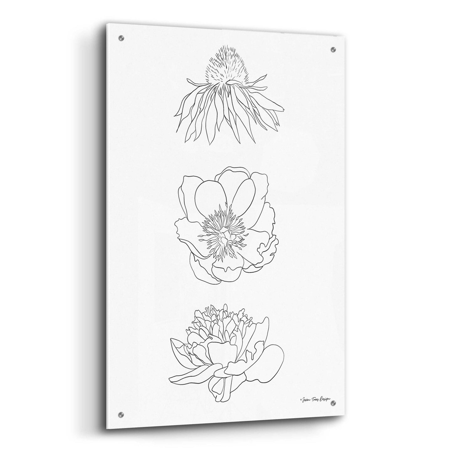 Epic Art 'Hand Drawn Flowers' by Seven Trees Design, Acrylic Glass Wall Art,24x36