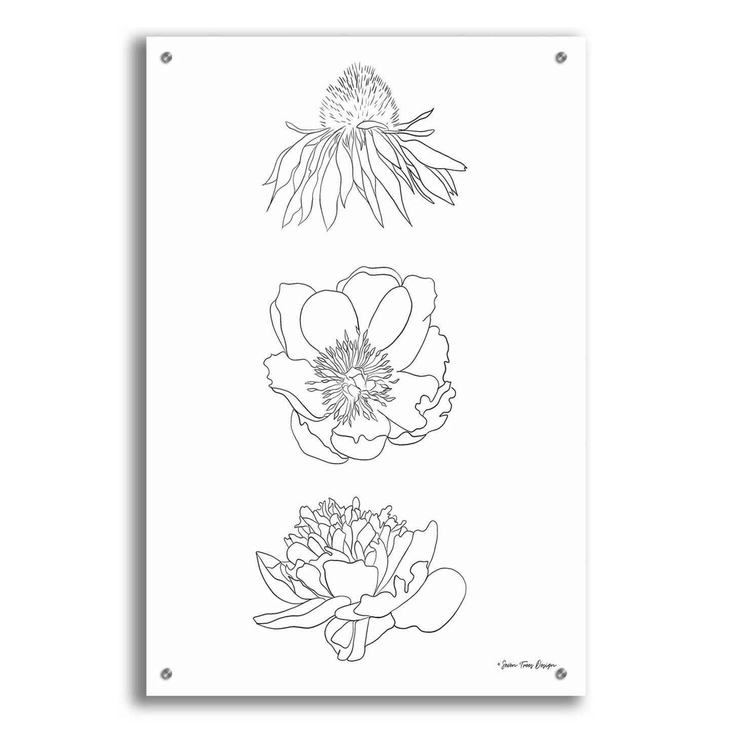 Epic Art 'Hand Drawn Flowers' by Seven Trees Design, Acrylic Glass Wall Art,24x36